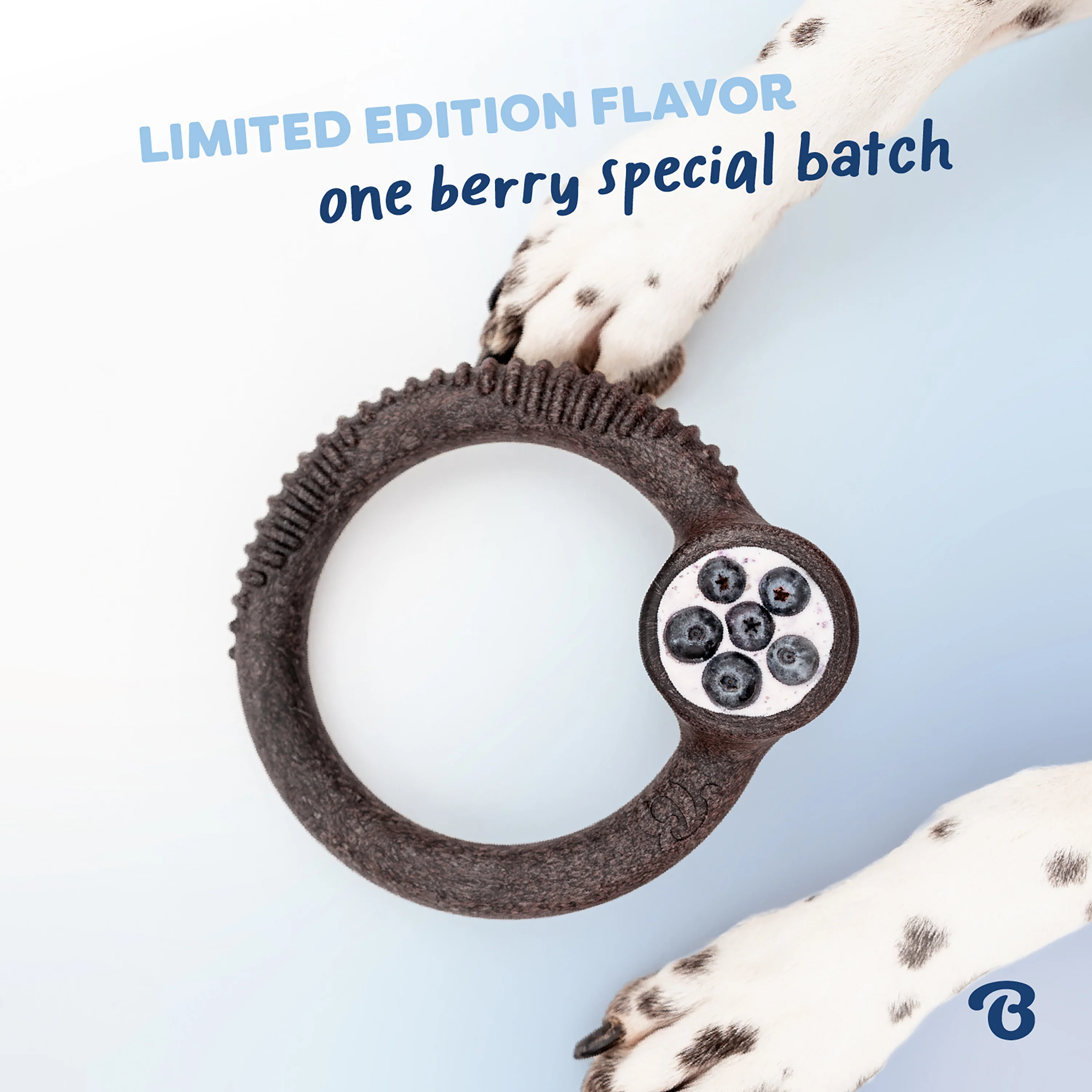 Blueberry Ring - Image 12