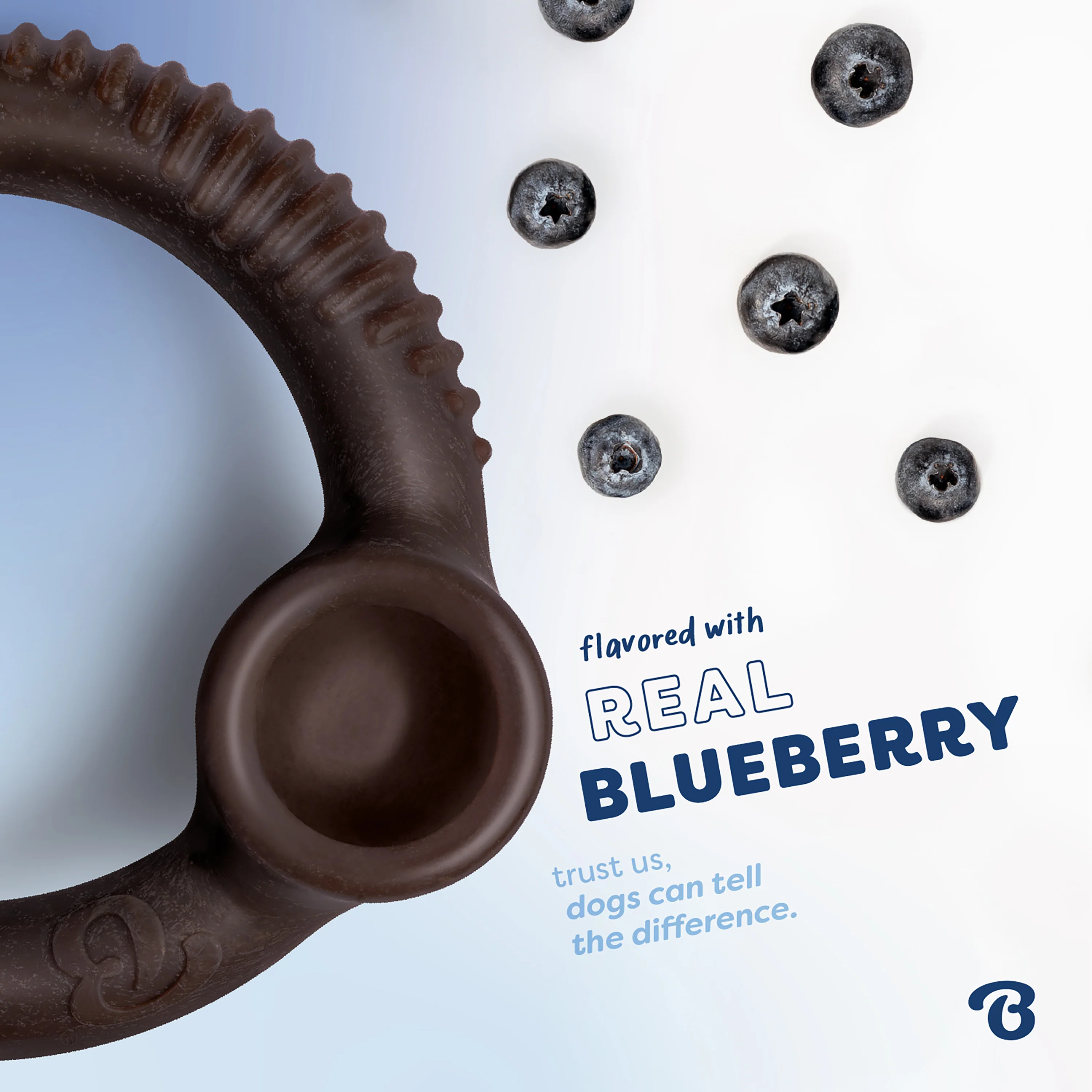 Blueberry Ring - Image 19