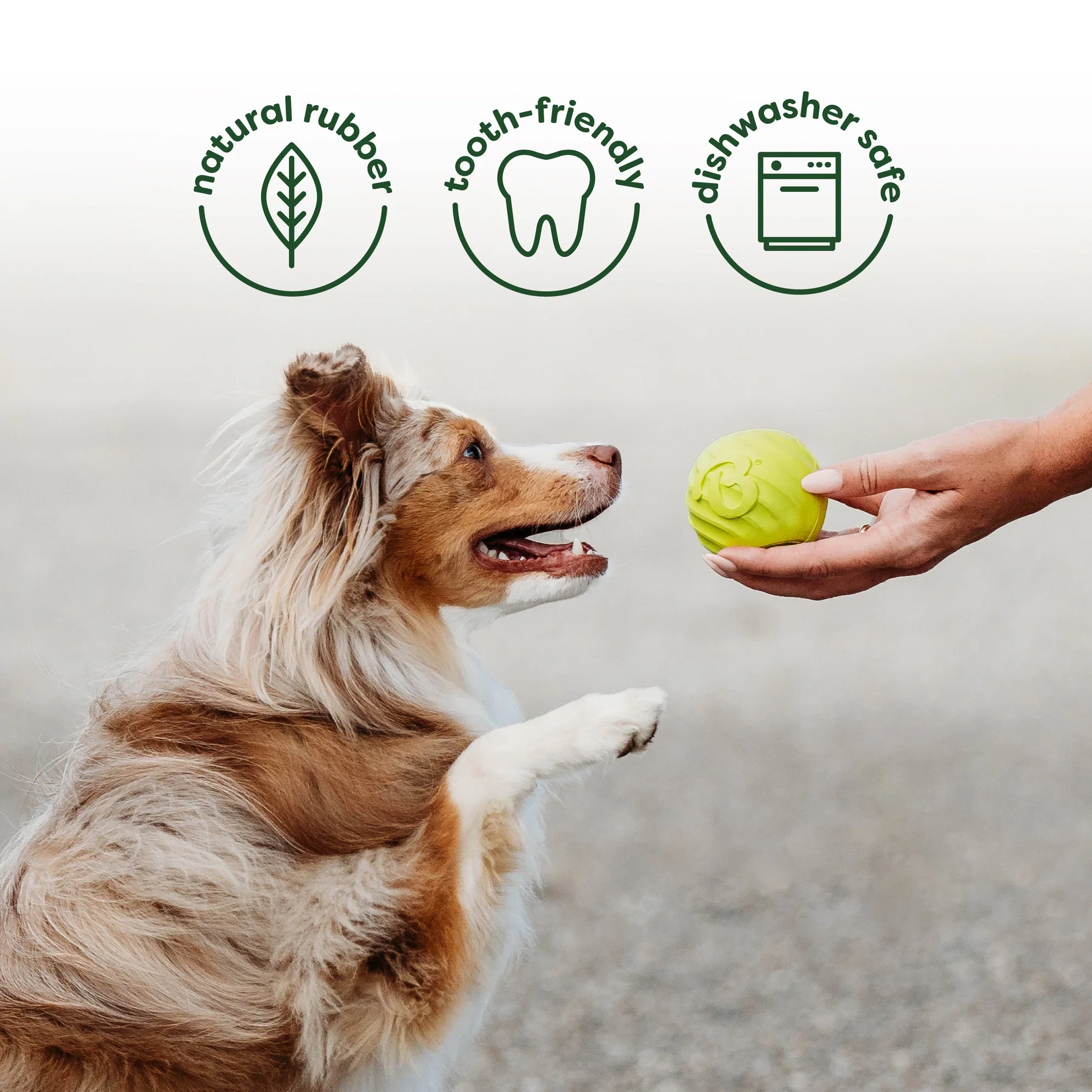 Chew & Chase Collection (50% off) - Image 5