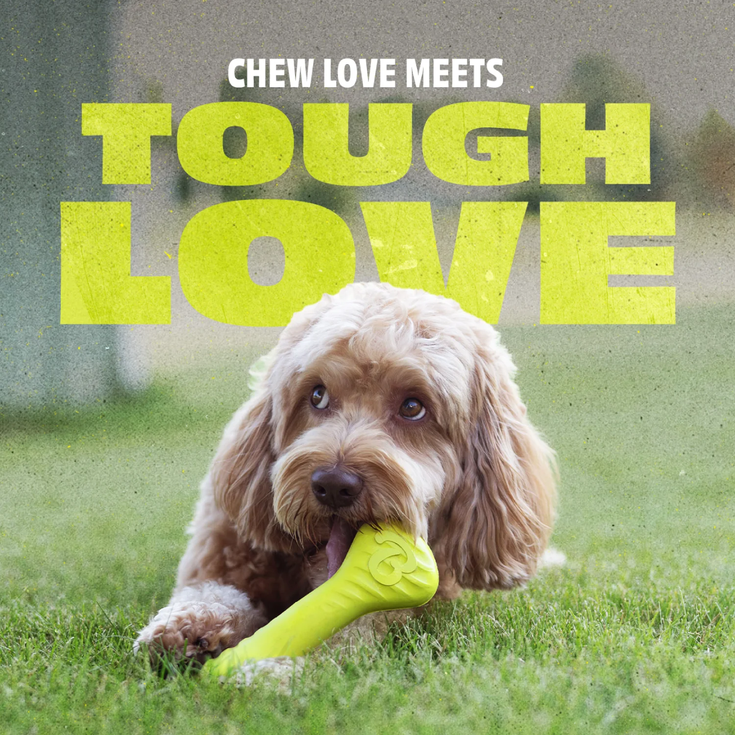 Chew & Chase Duo (2-Pack) - Image 14