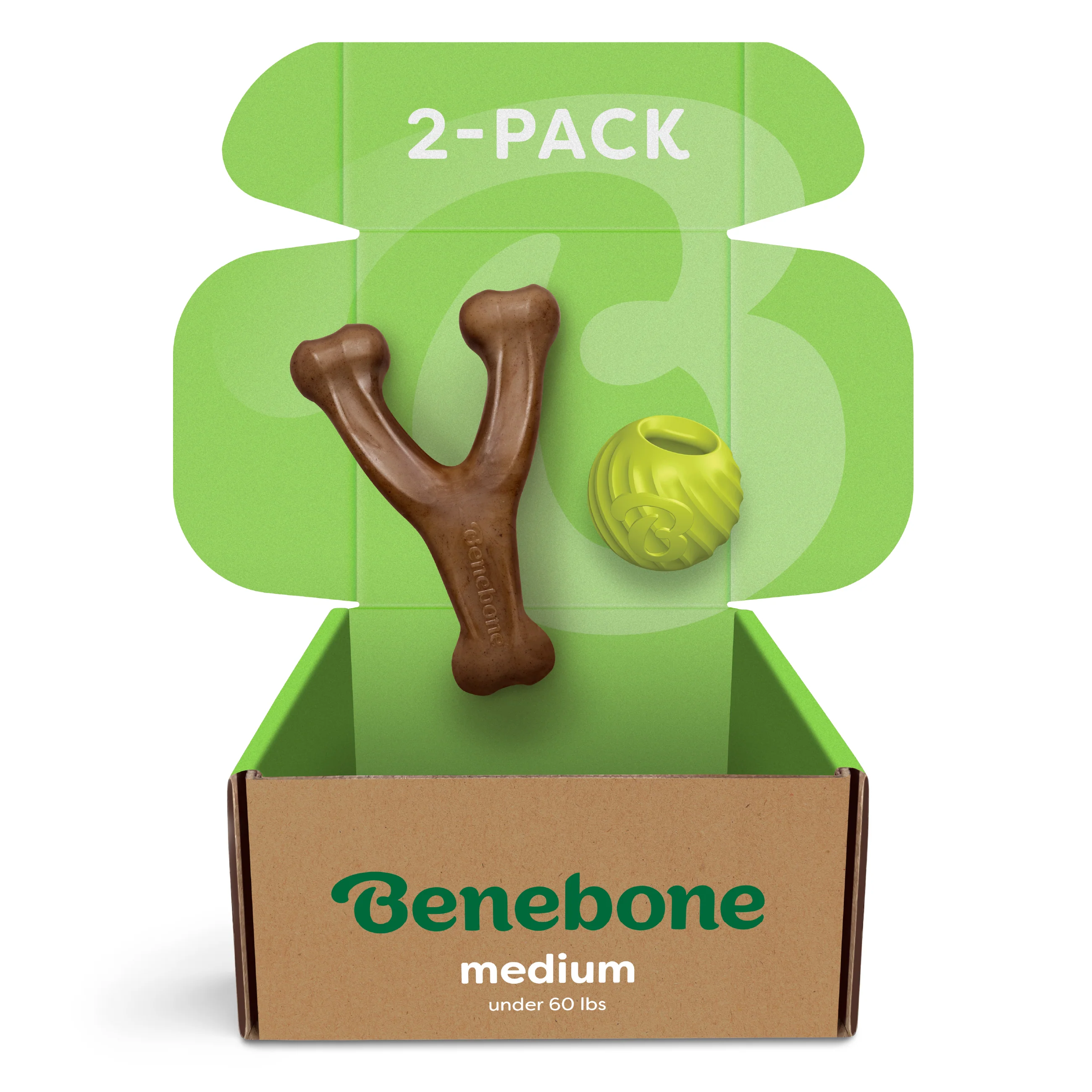 Chew & Fetch Duo (2-Pack)