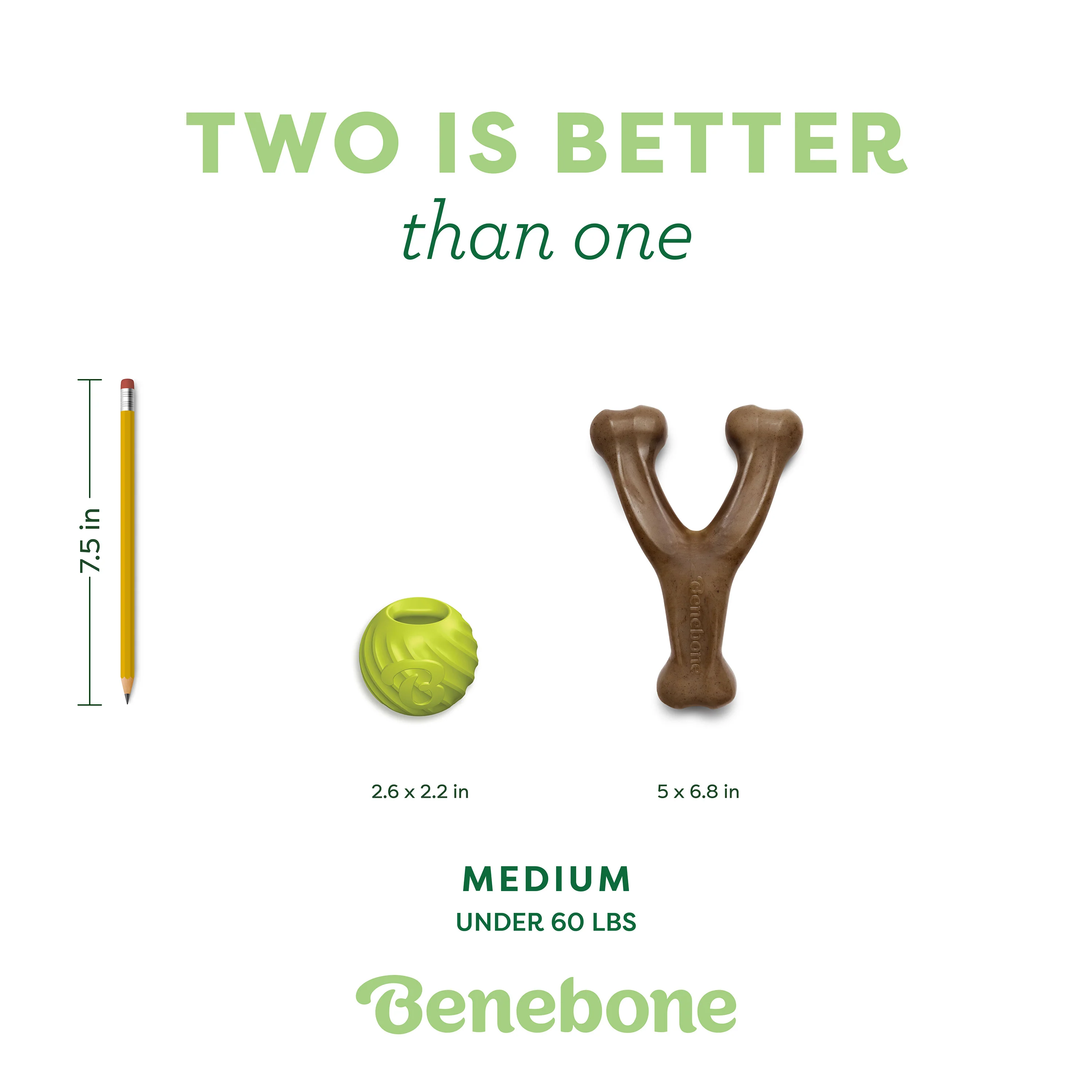 Chew & Fetch Duo (2-Pack) - Image 3