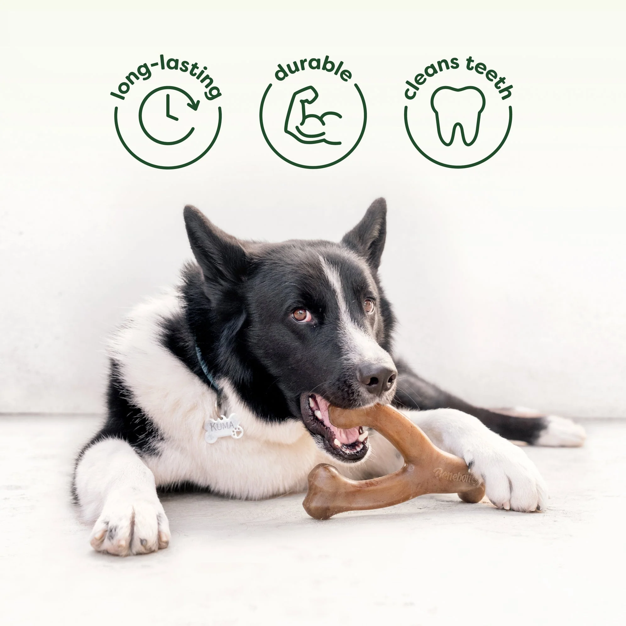 Chew & Tug Duo (2-Pack) - Image 3