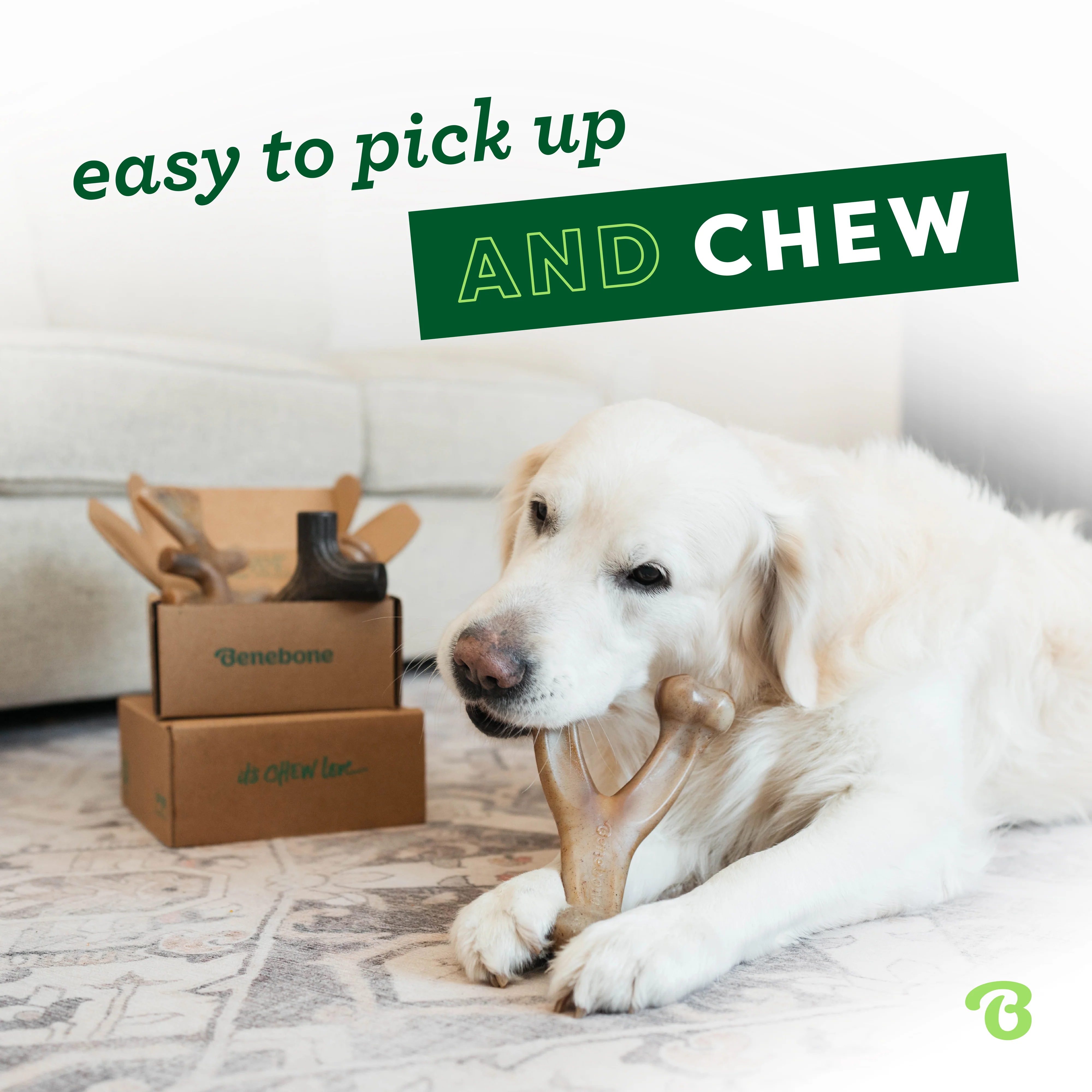 Classic Chew Collection (50% off) - Image 6