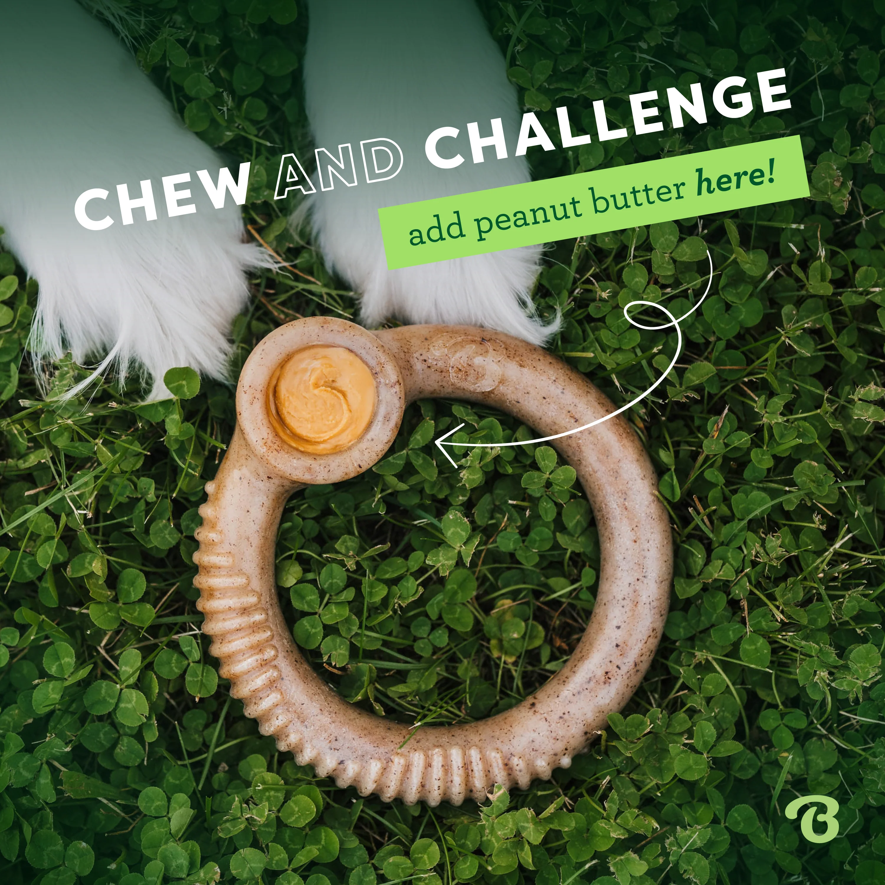 Complete Chew Collection (50% off) - Image 8