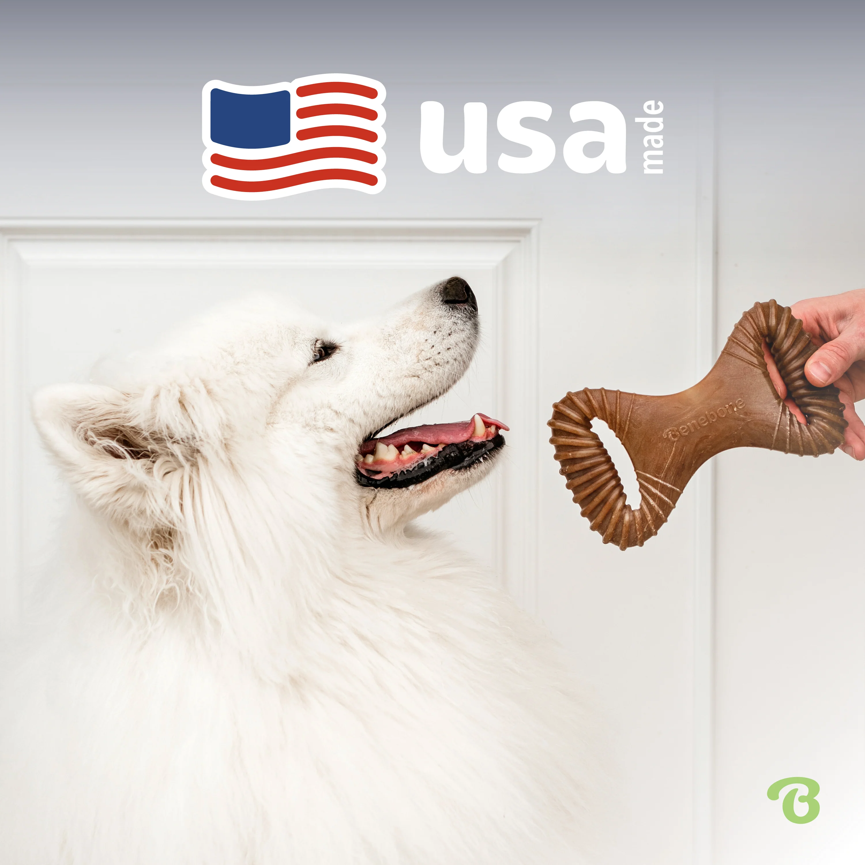 Dental Chew - Image 26
