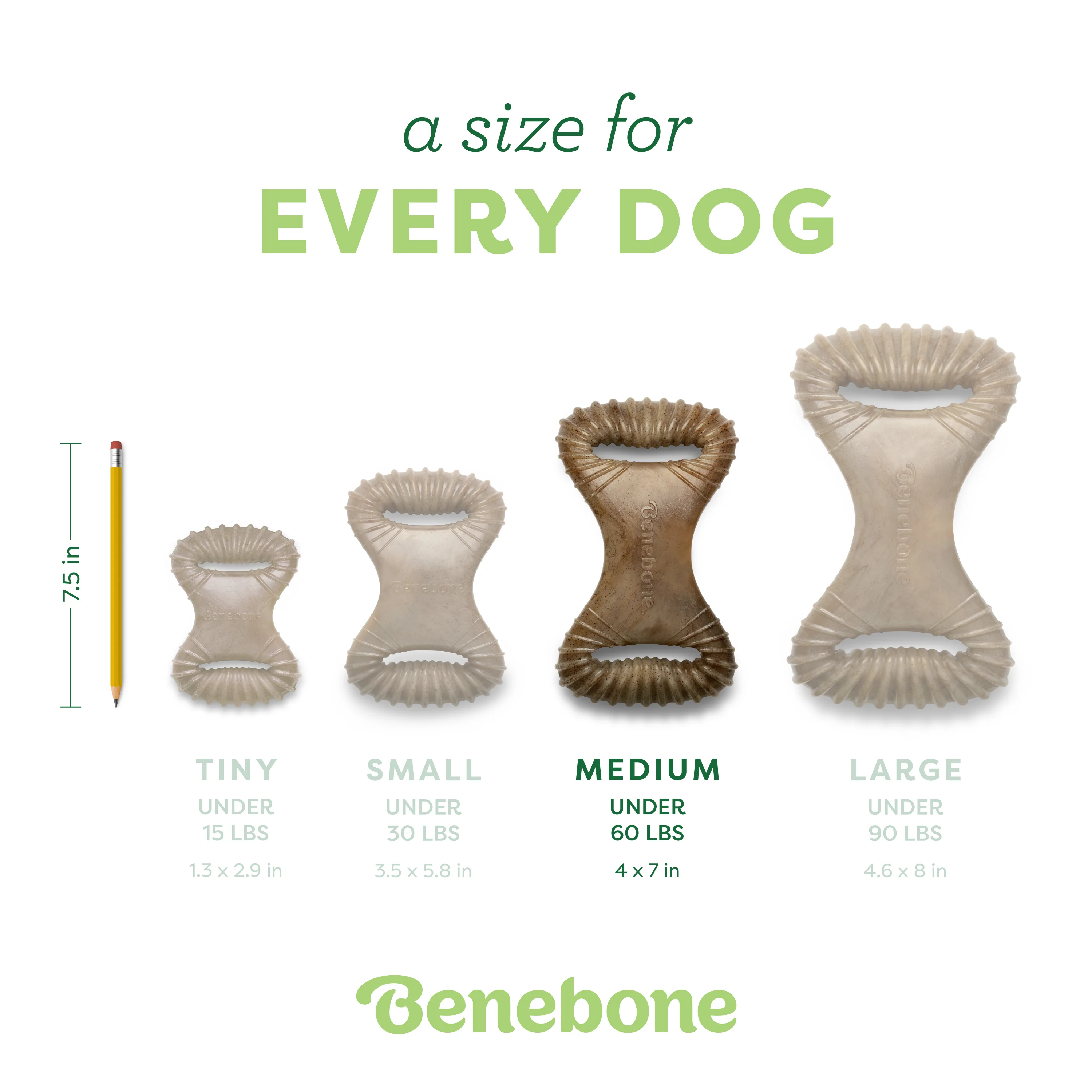 Dental Chew - Image 30