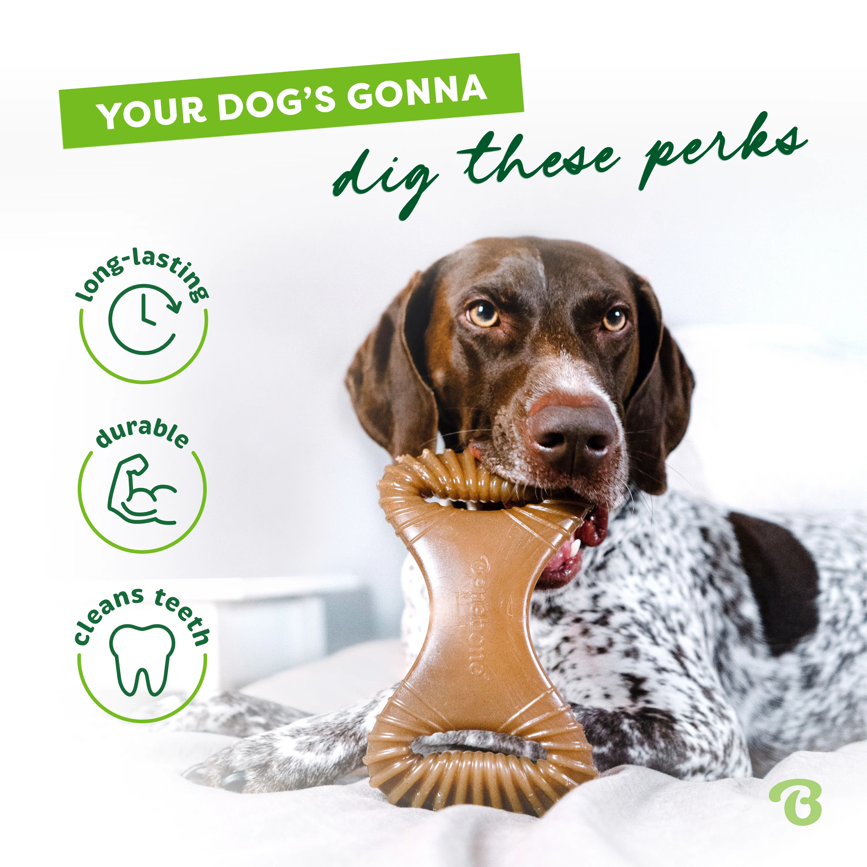 Dental Chew - Image 35