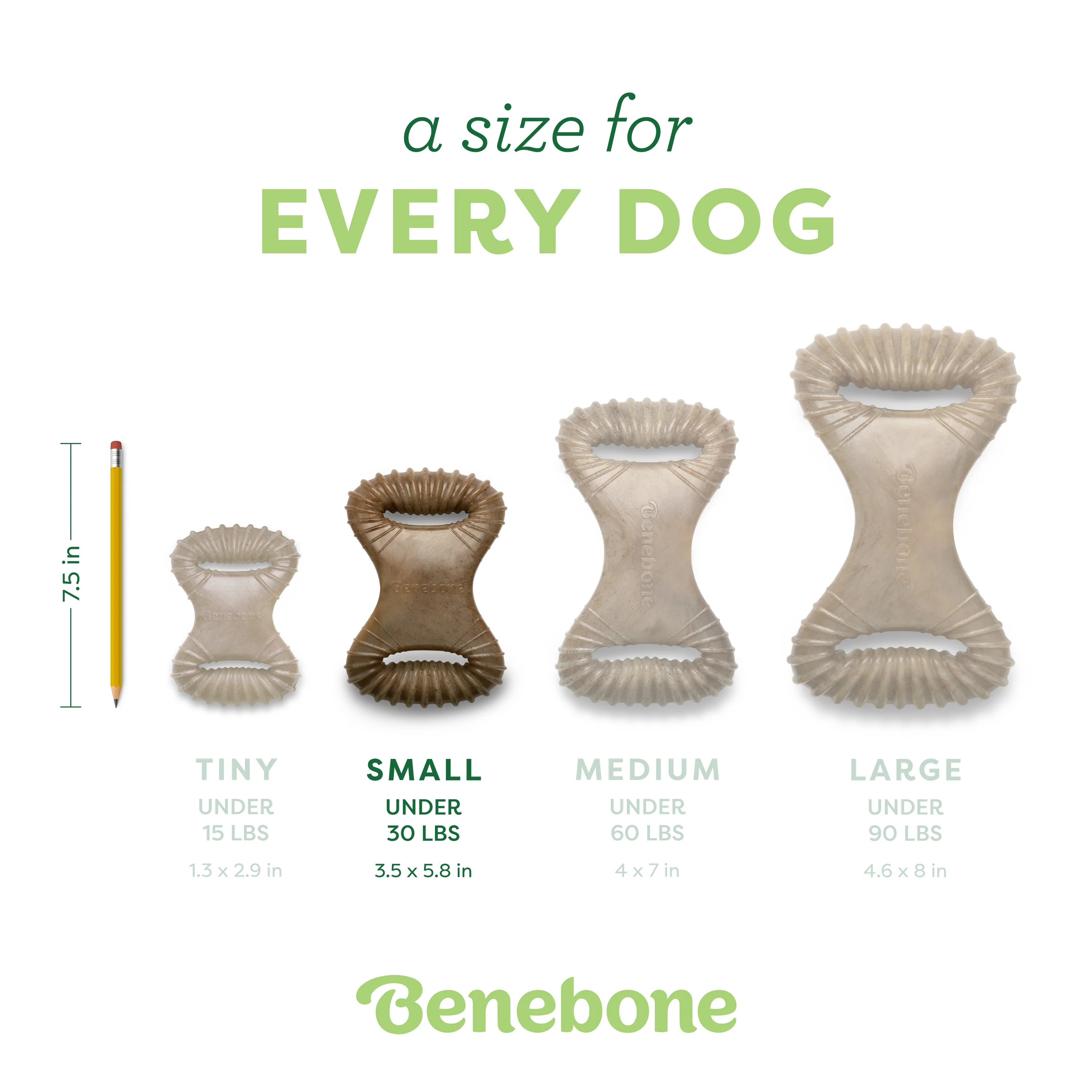 Dental Chew - Image 45