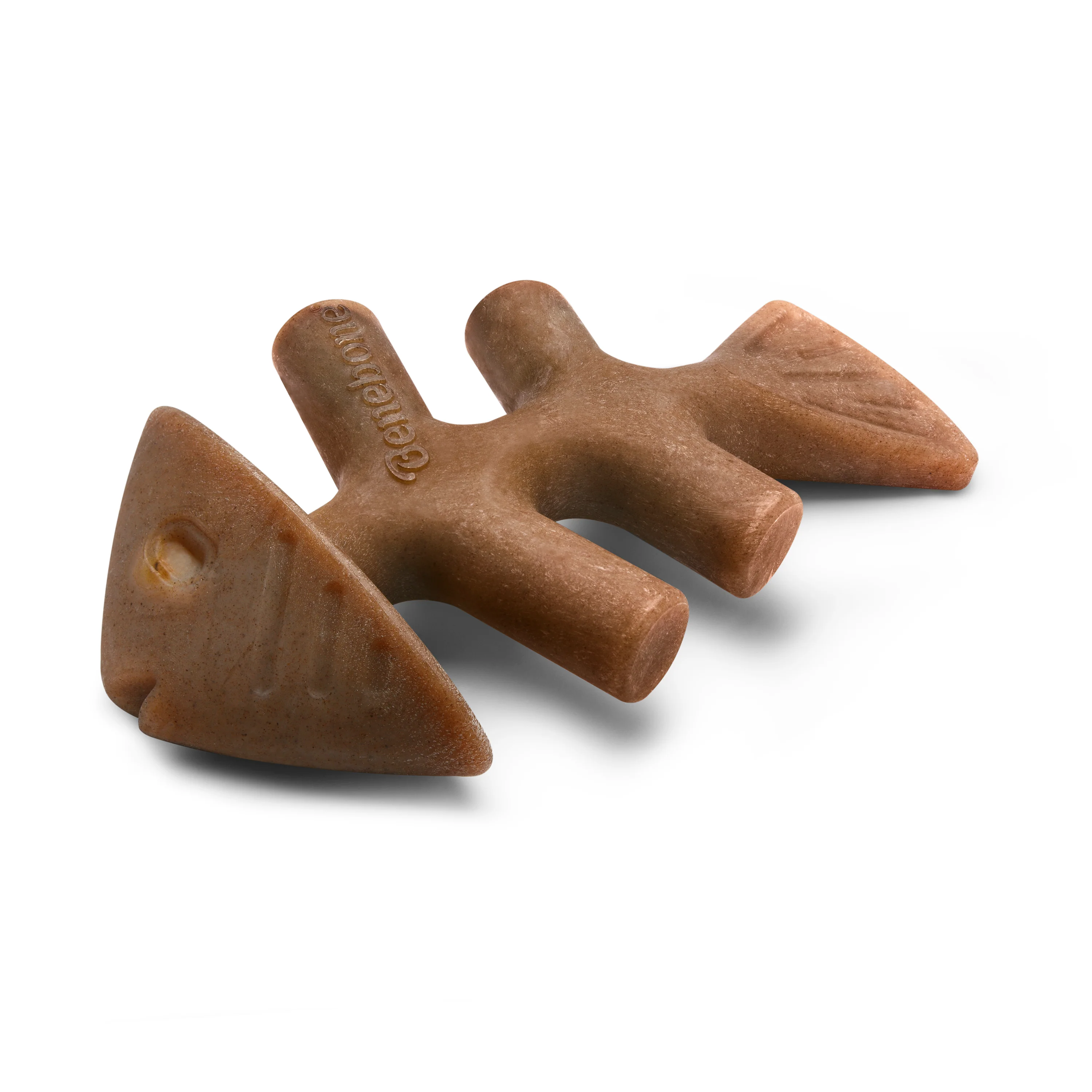 Fishbone - Image 13
