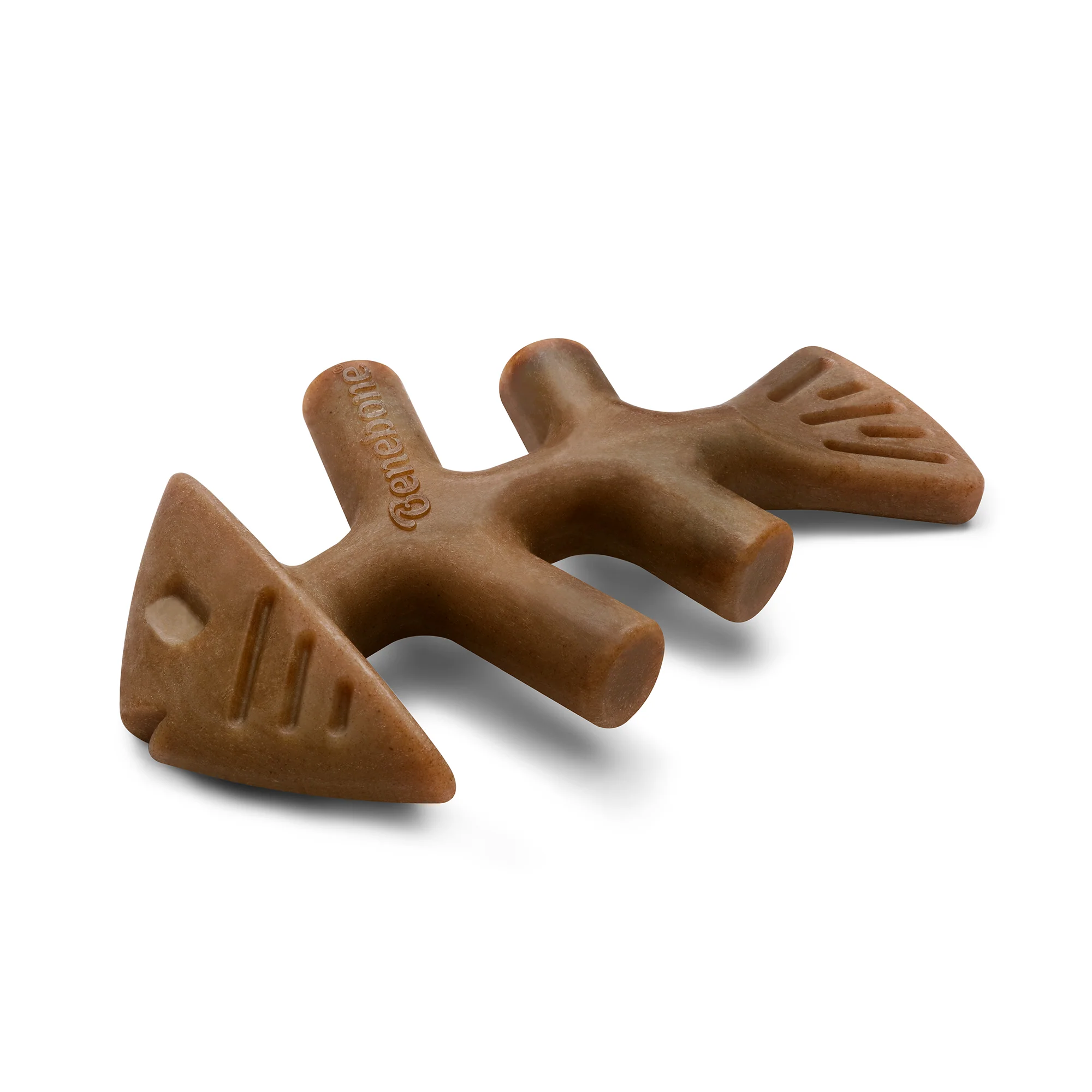 Fishbone - Image 15