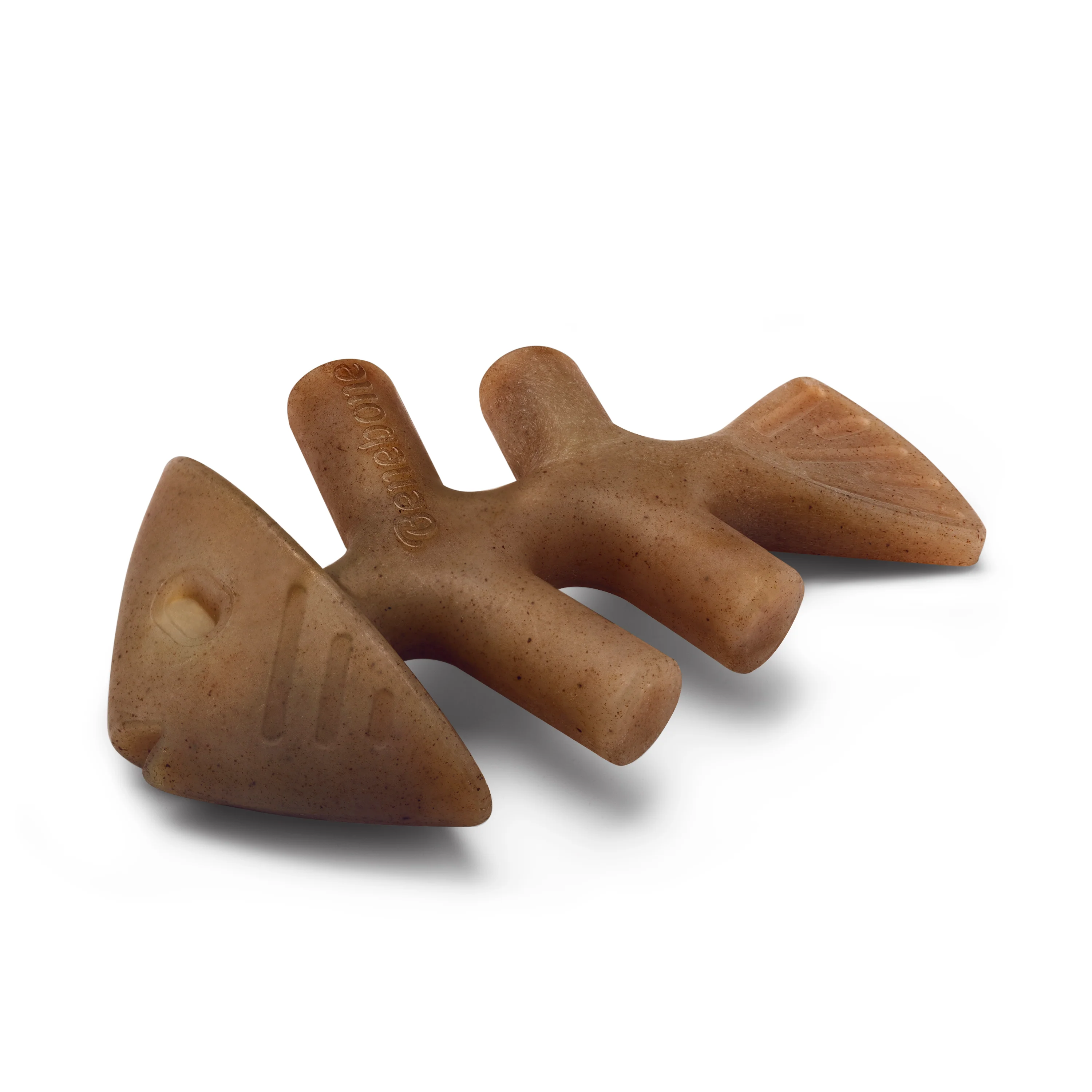 Fishbone - Image 9