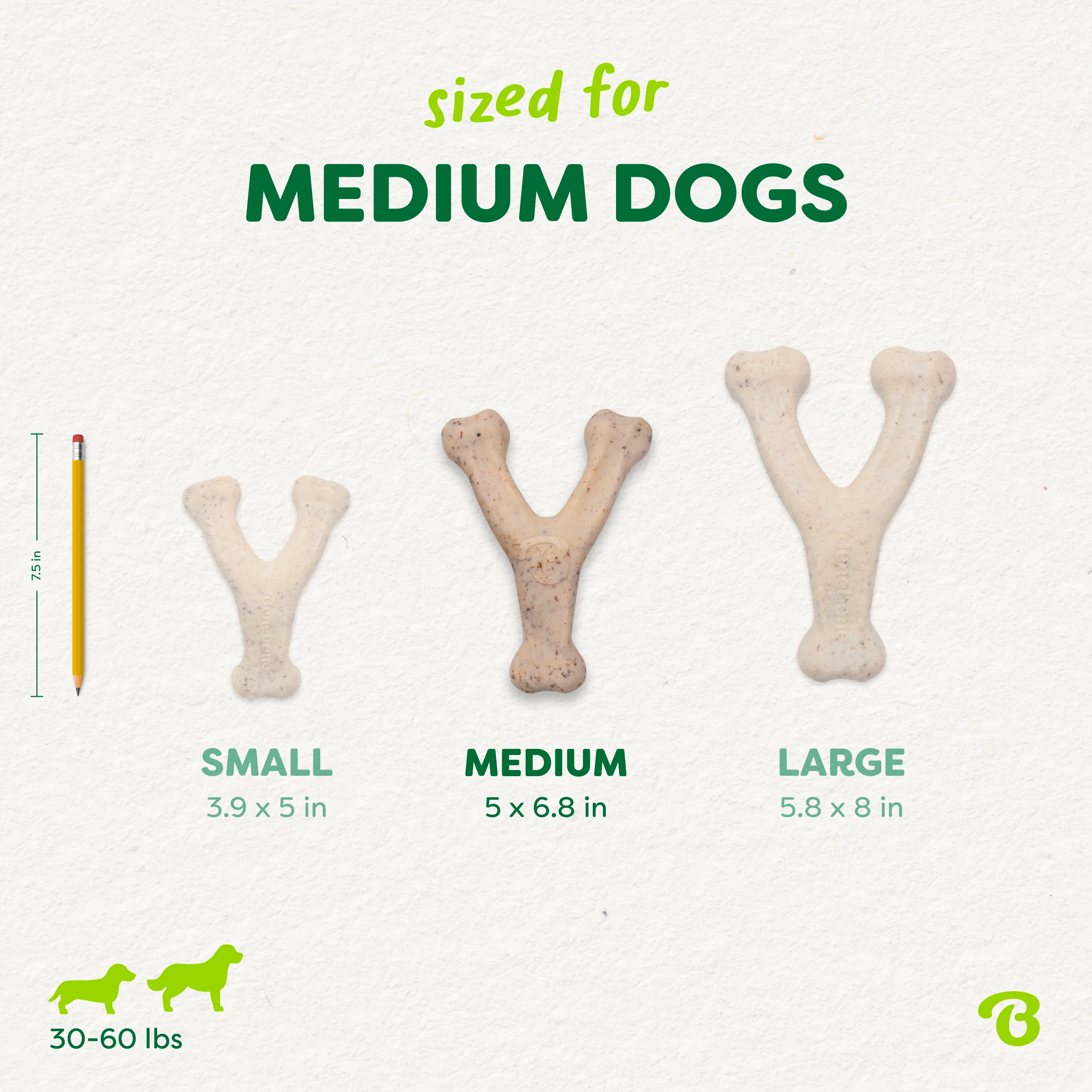 Green Wishbone - Image 14
