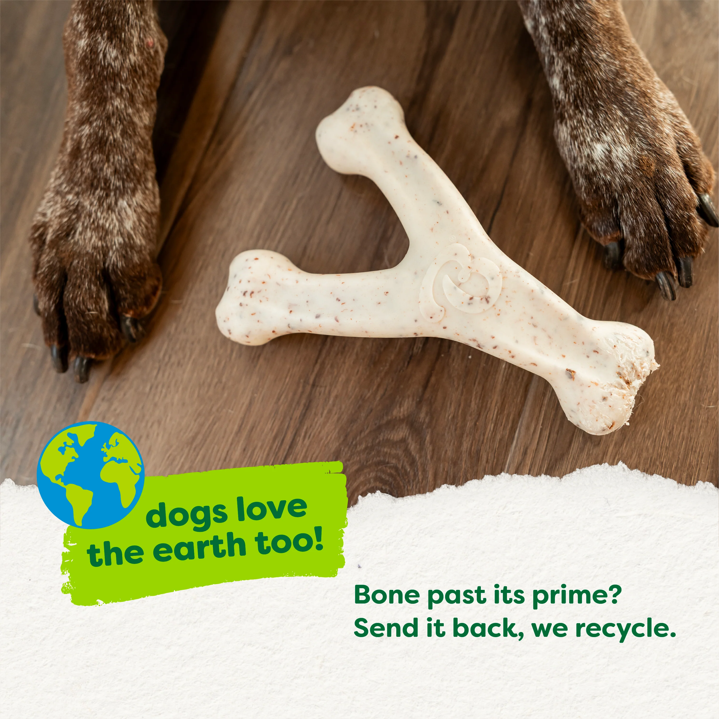 Green Wishbone - Image 18