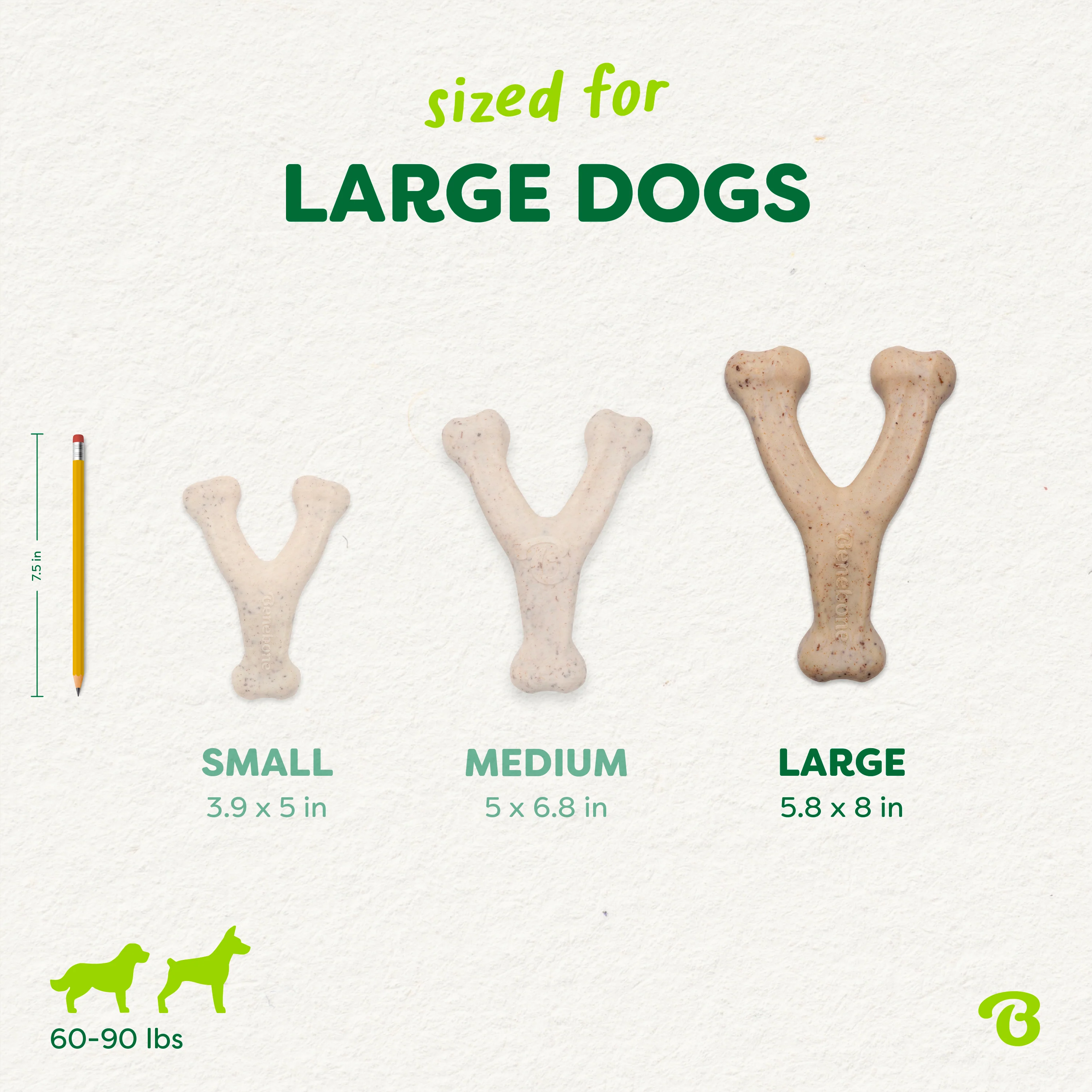 Green Wishbone - Image 23