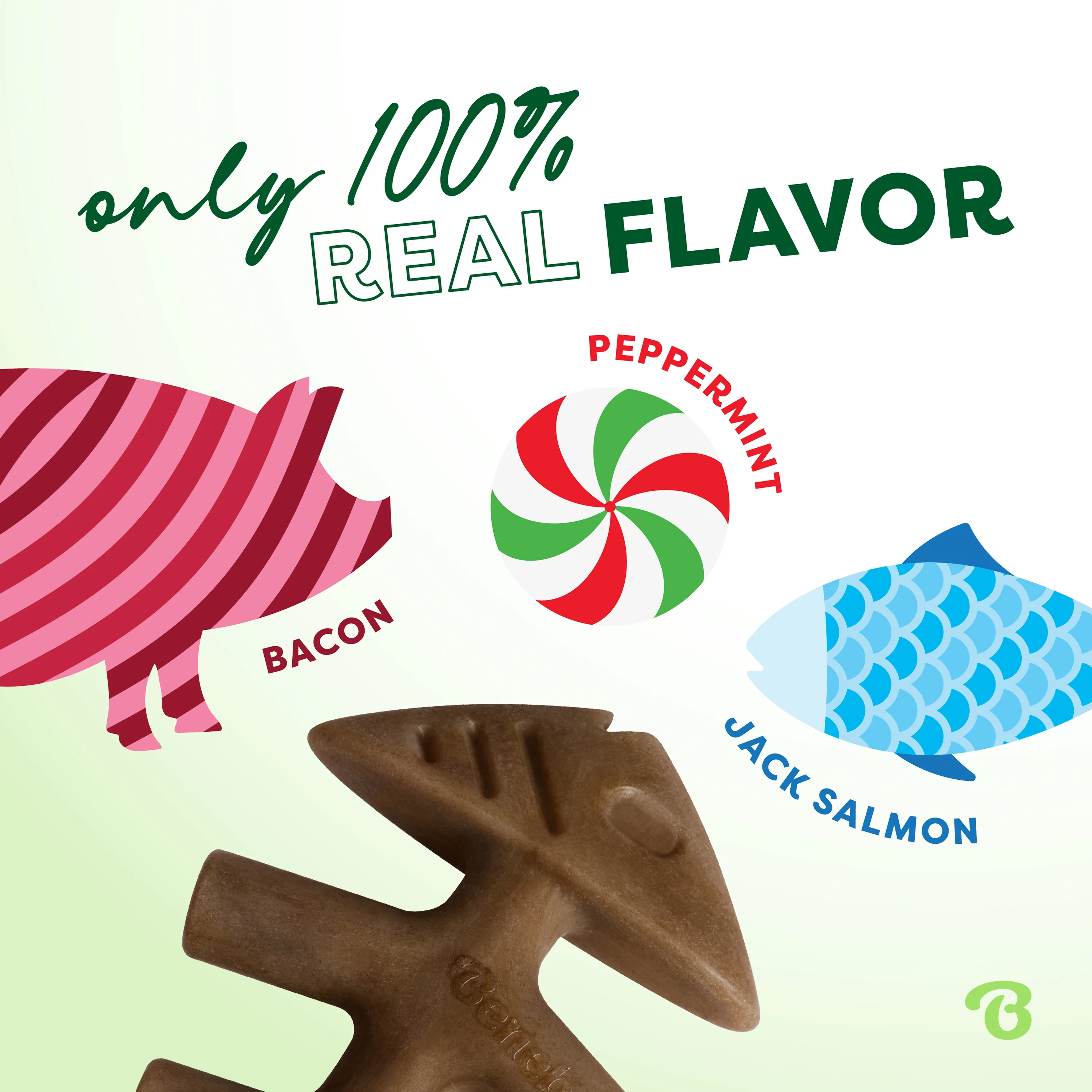 Limited Edition Chew Collection (4-Pack) - Image 4