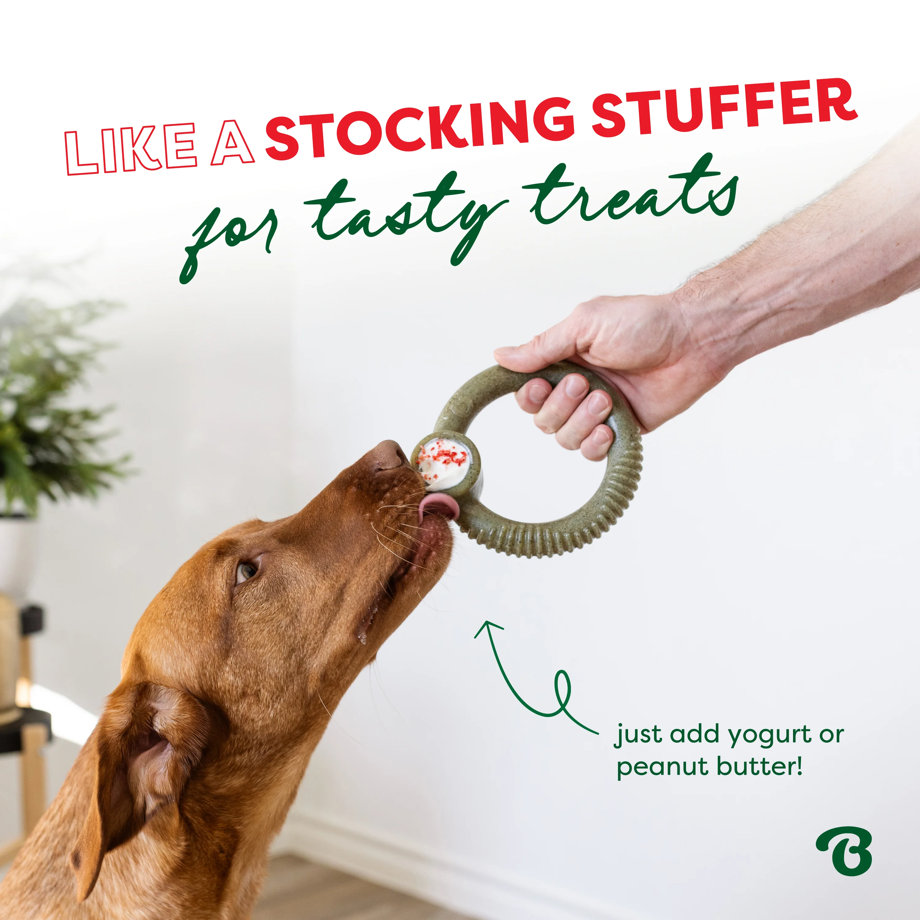 Limited Edition Chew Collection (50% off) - Image 26