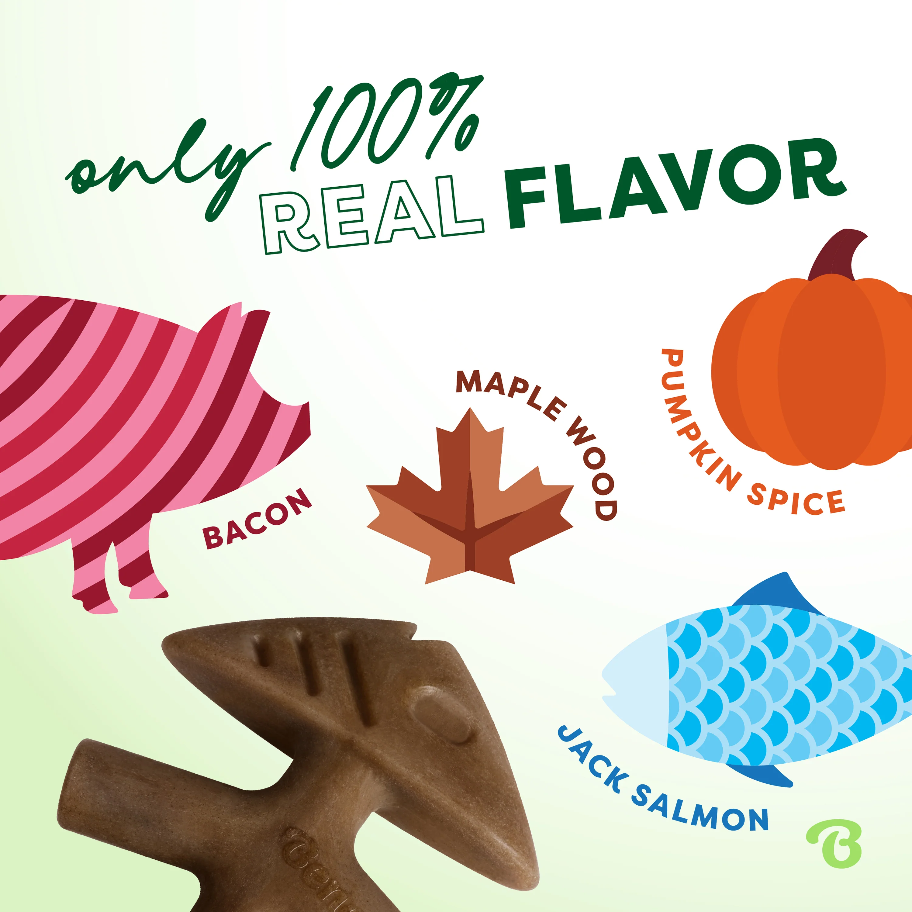 Limited Edition Chew Collection (4-Pack) - Image 6