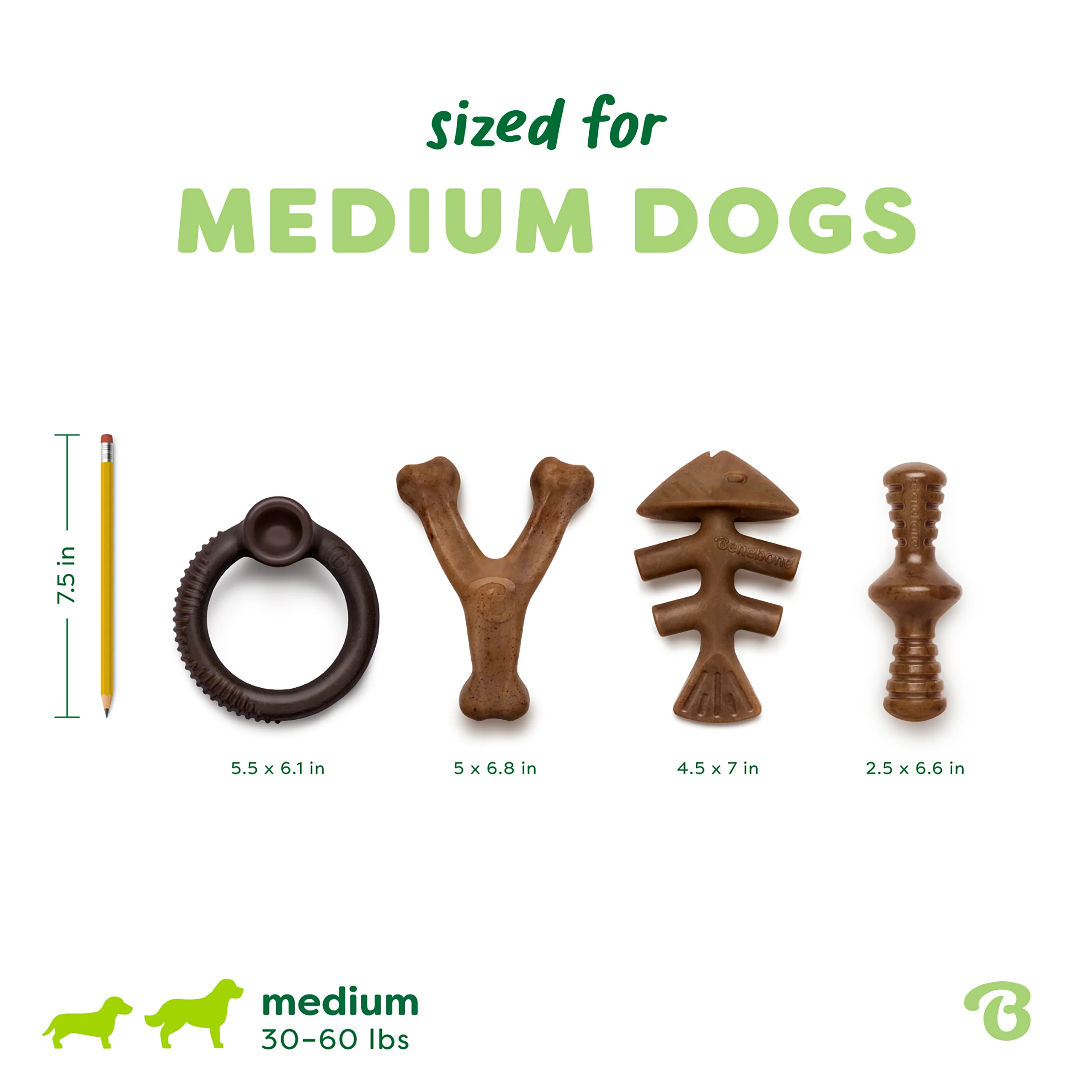 Limited Edition Chew Collection (4-Pack) - Image 63