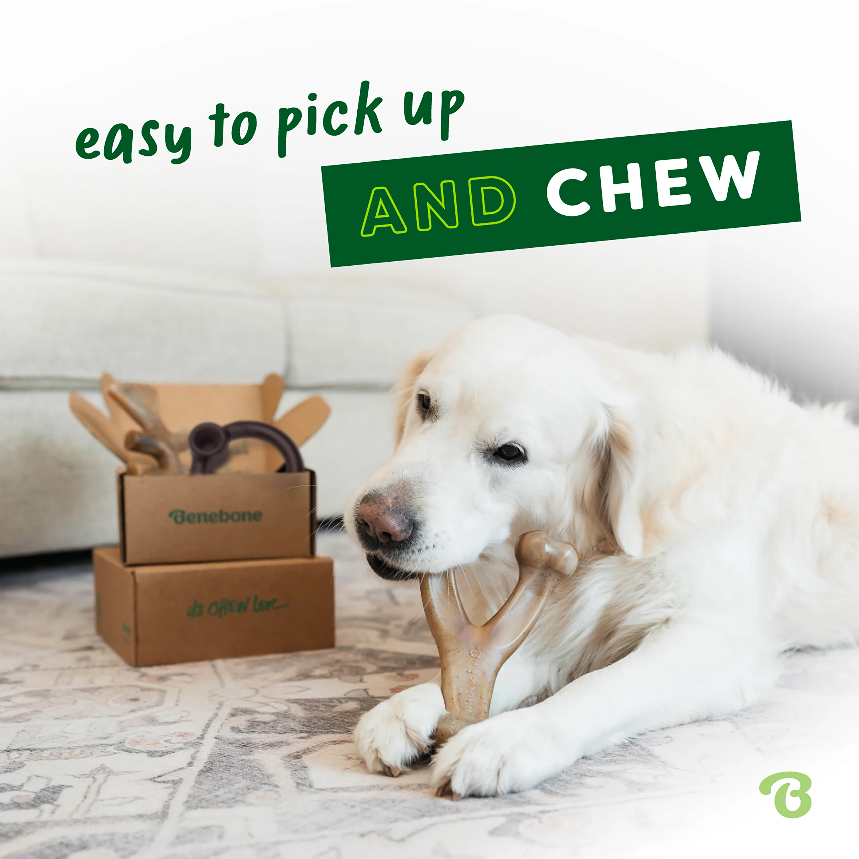 Limited Edition Chew Collection (4-Pack) - Image 73