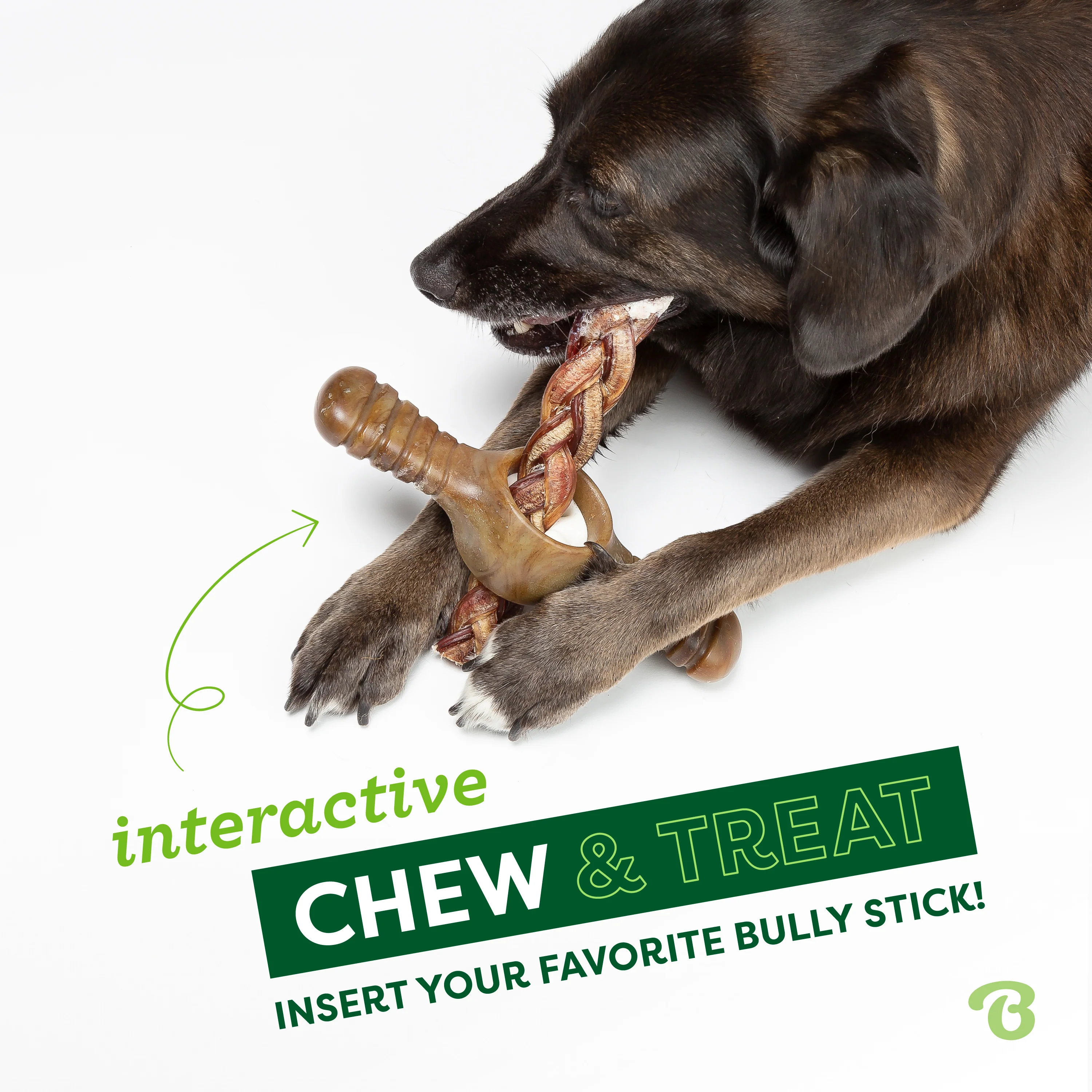 Pawplexer - Image 2