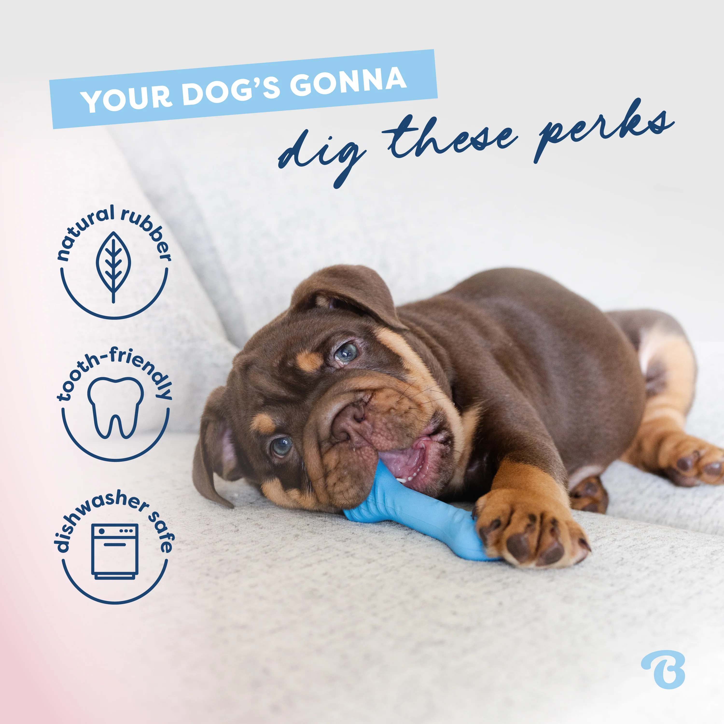 Puppy Bone - Image 4