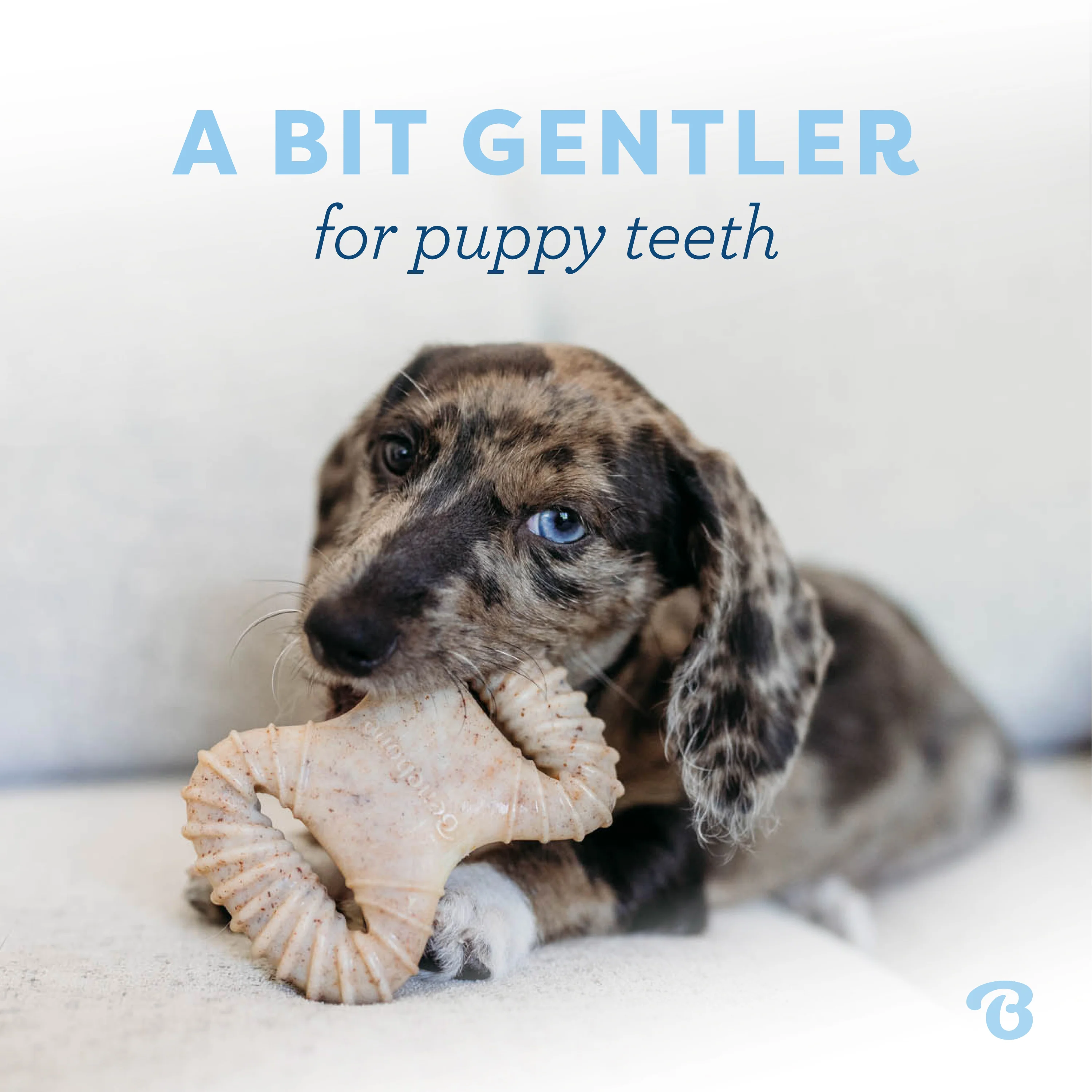 Puppy Dental Chew - Image 2