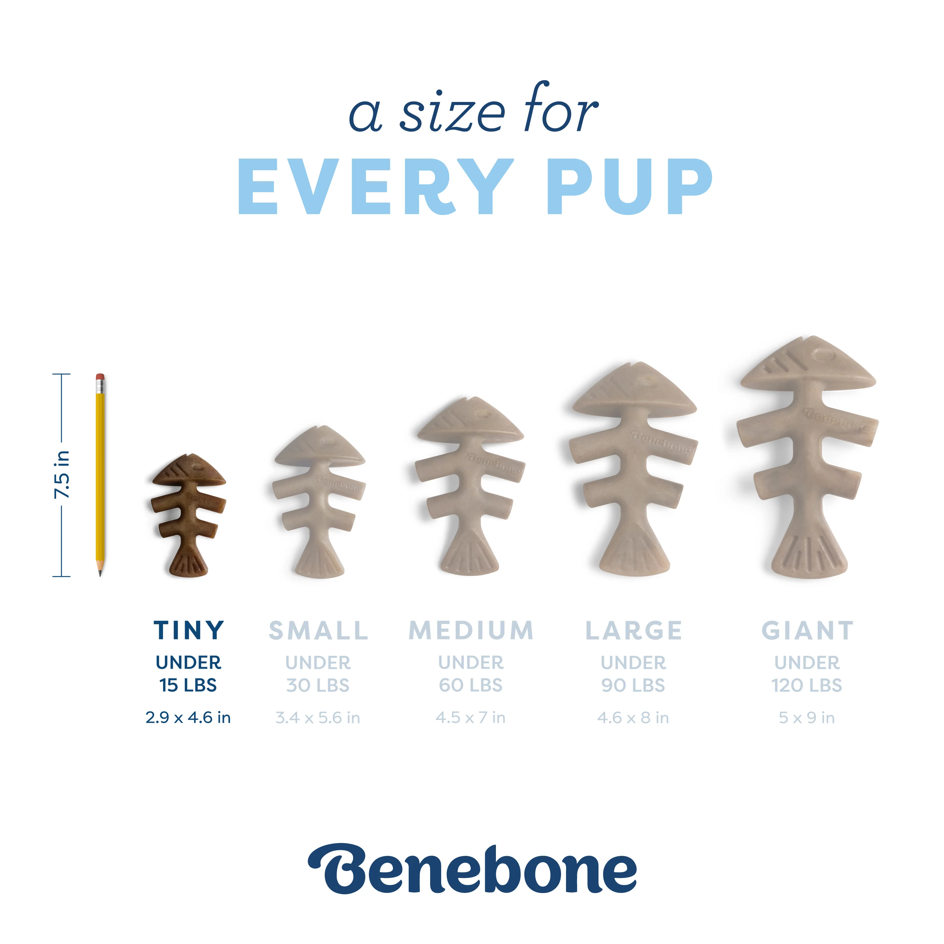 Puppy Fishbone - Image 4