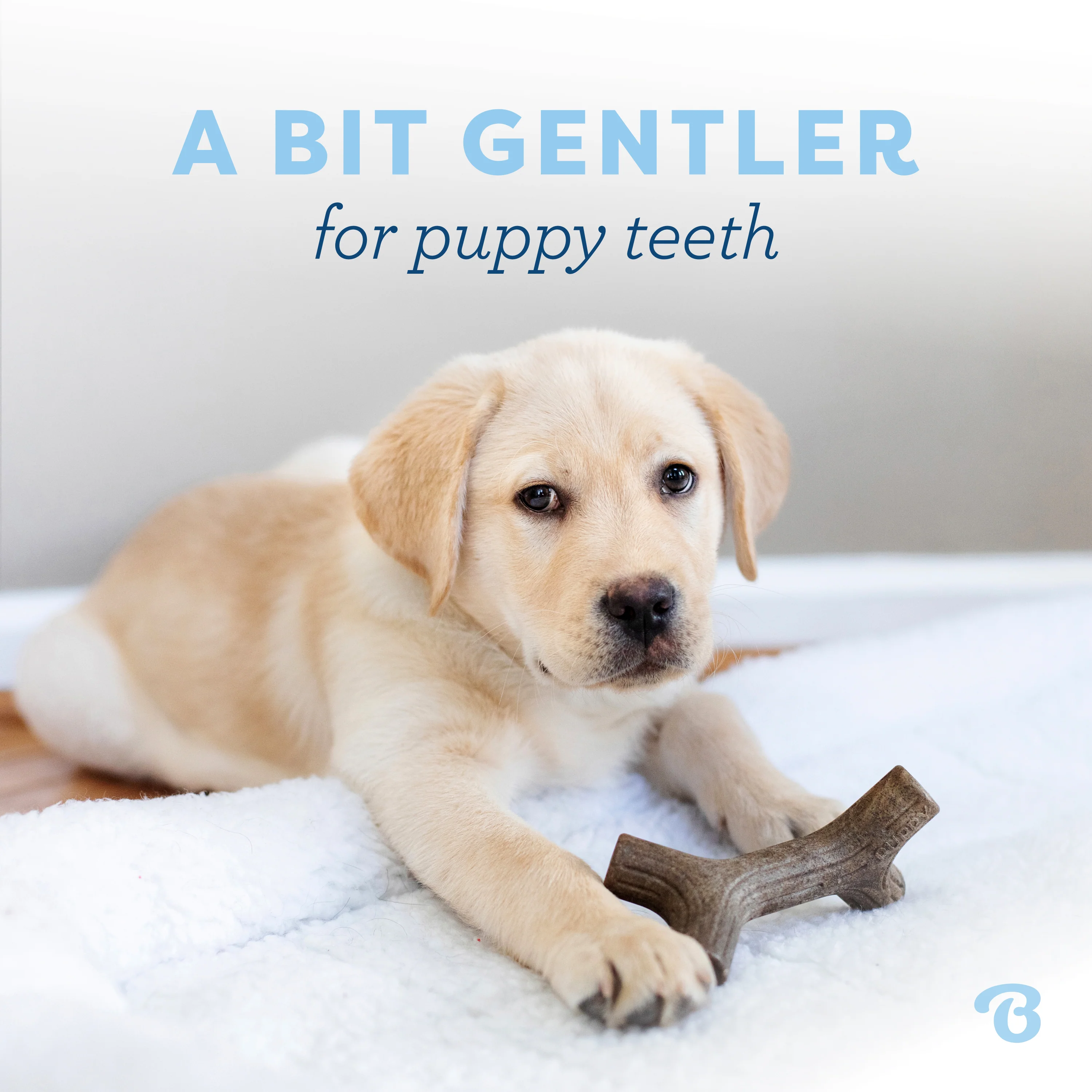 Puppy Stick - Image 3