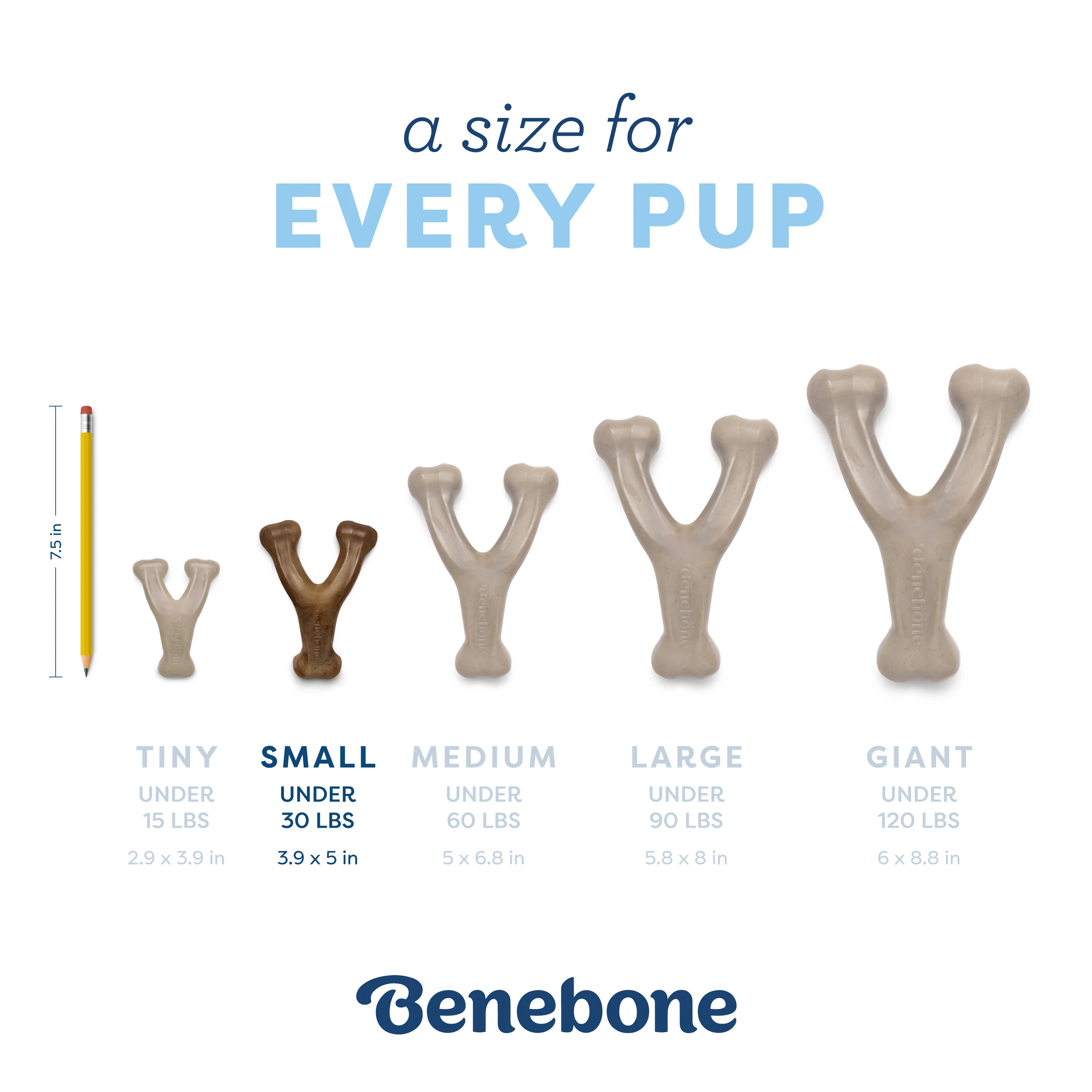 Puppy Wishbone - Image 10