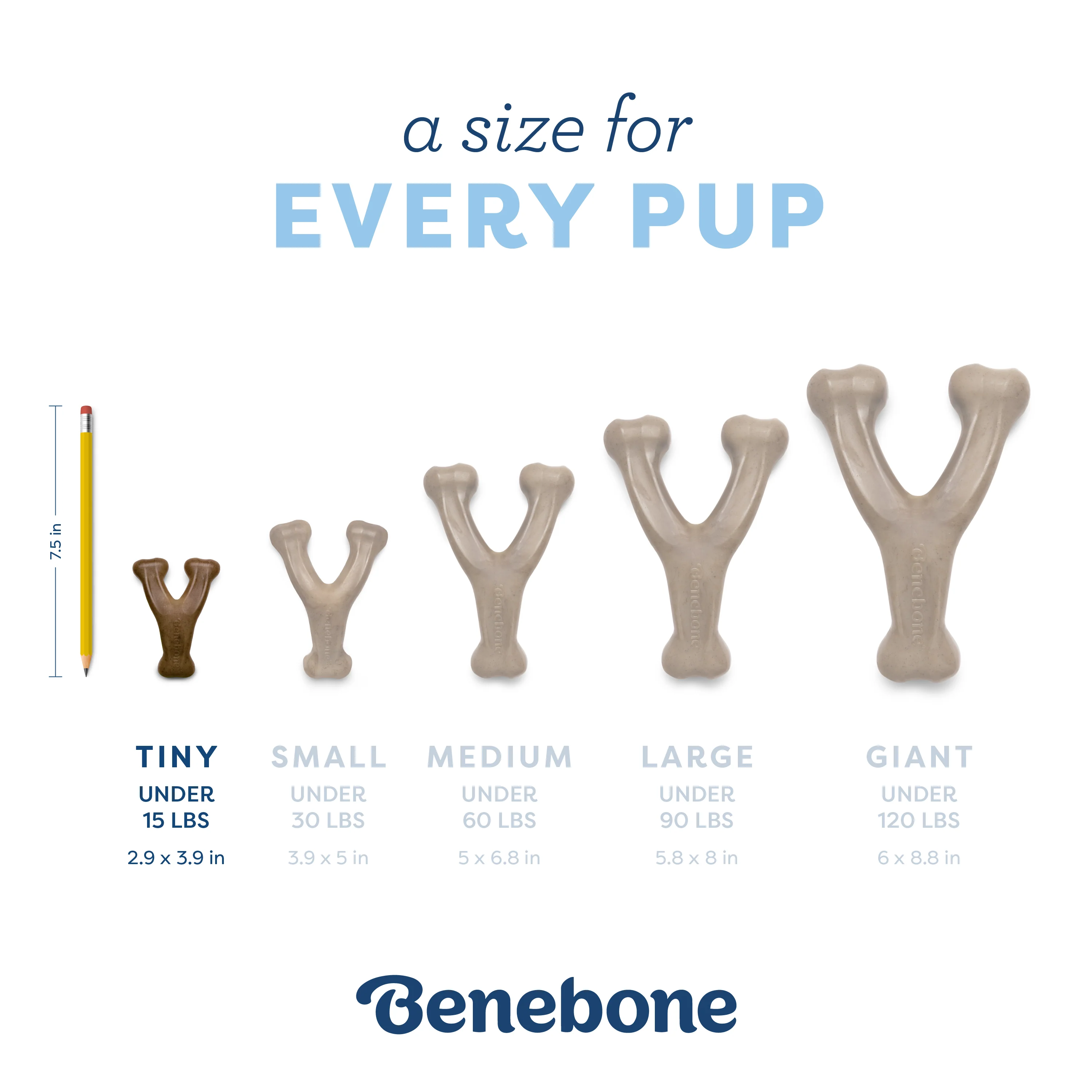 Puppy Wishbone - Image 11