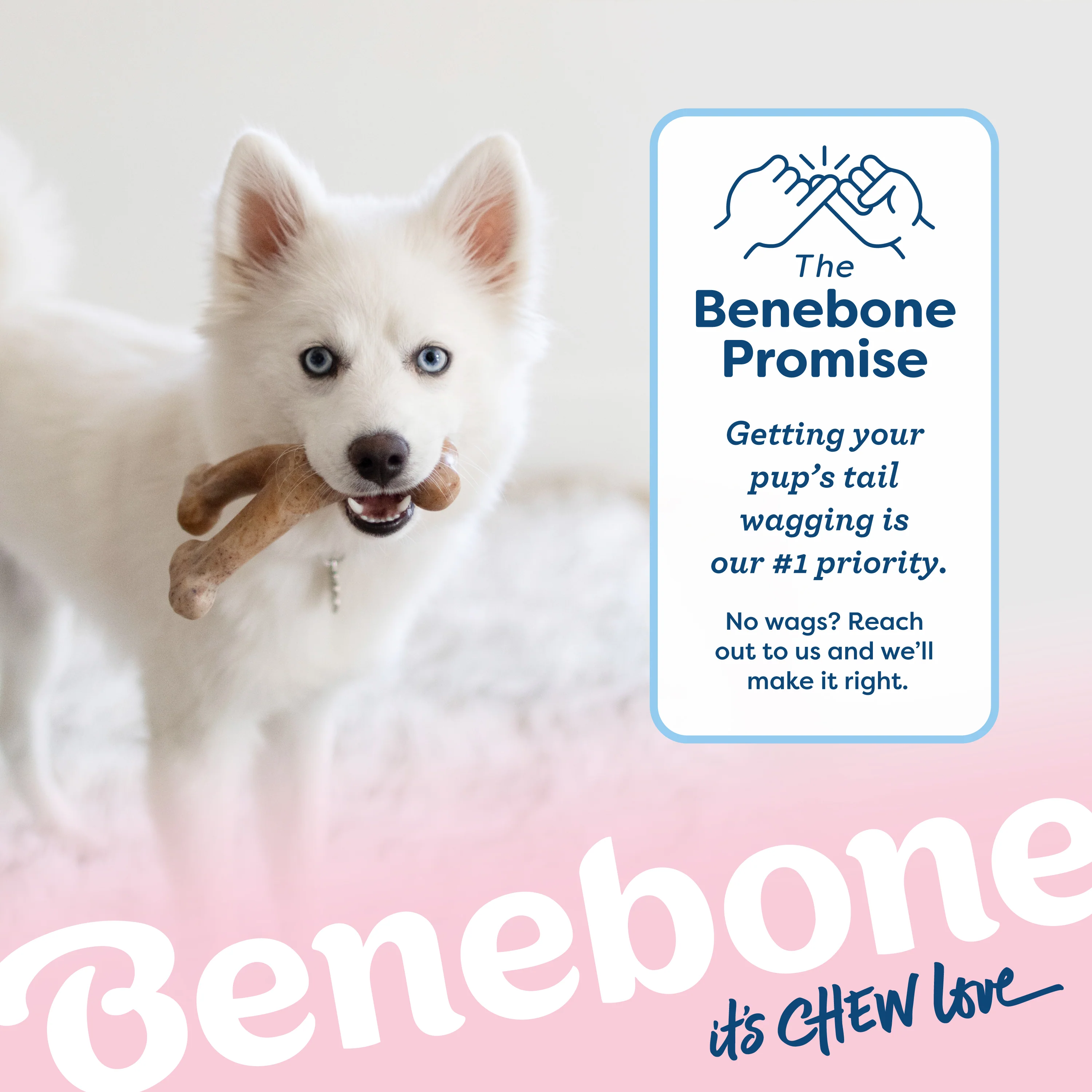 Puppy Wishbone - Image 13