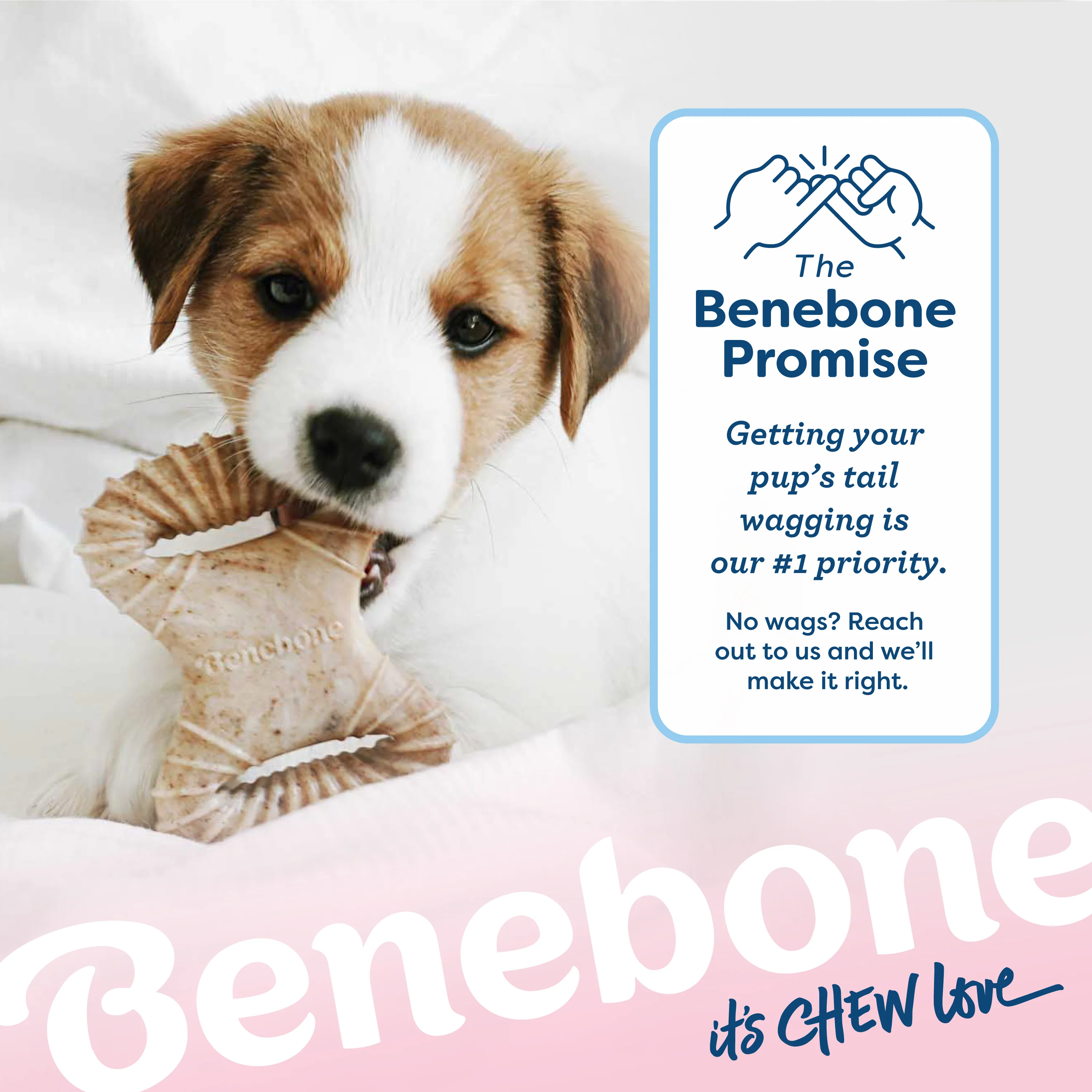 Puppy Wishbone - Image 8
