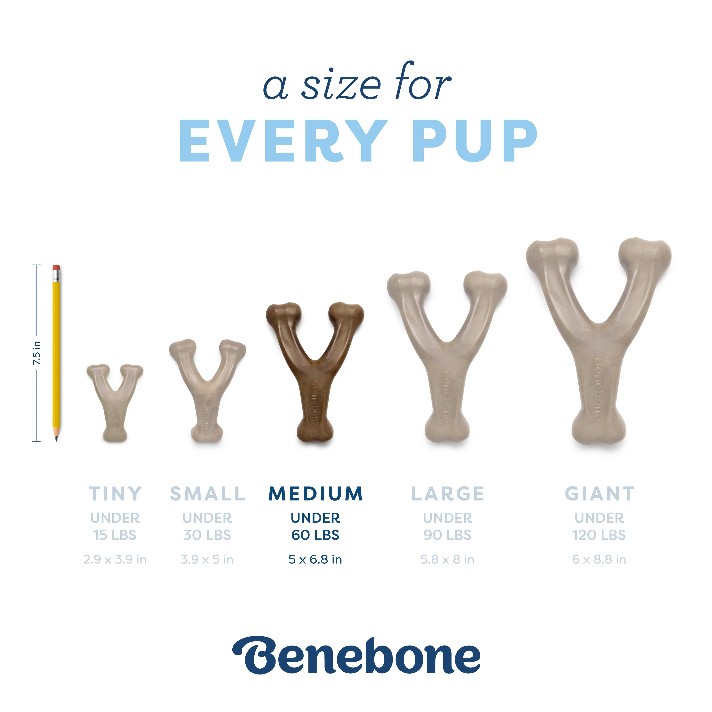 Puppy Wishbone - Image 9
