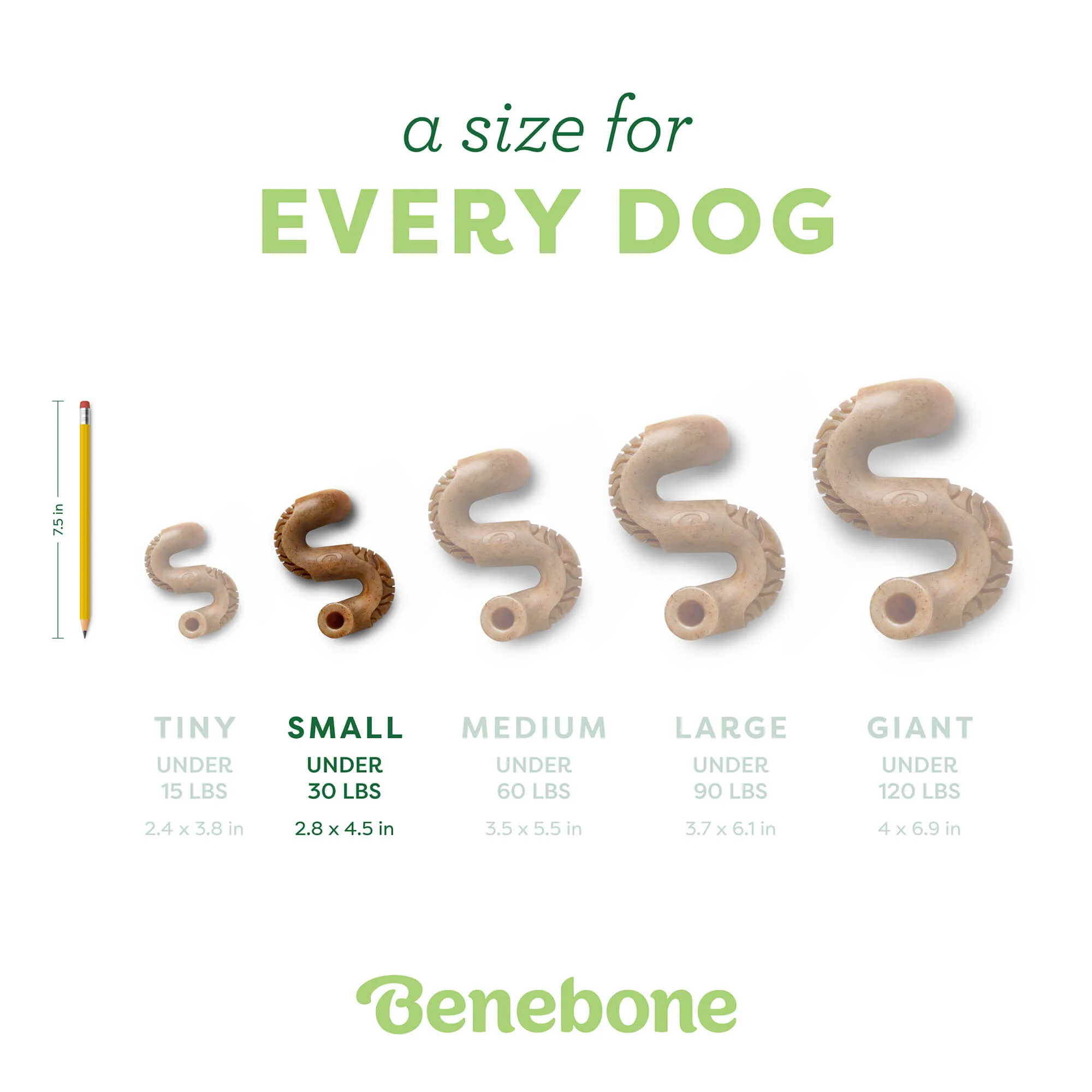 Tripe Bone - Image 12