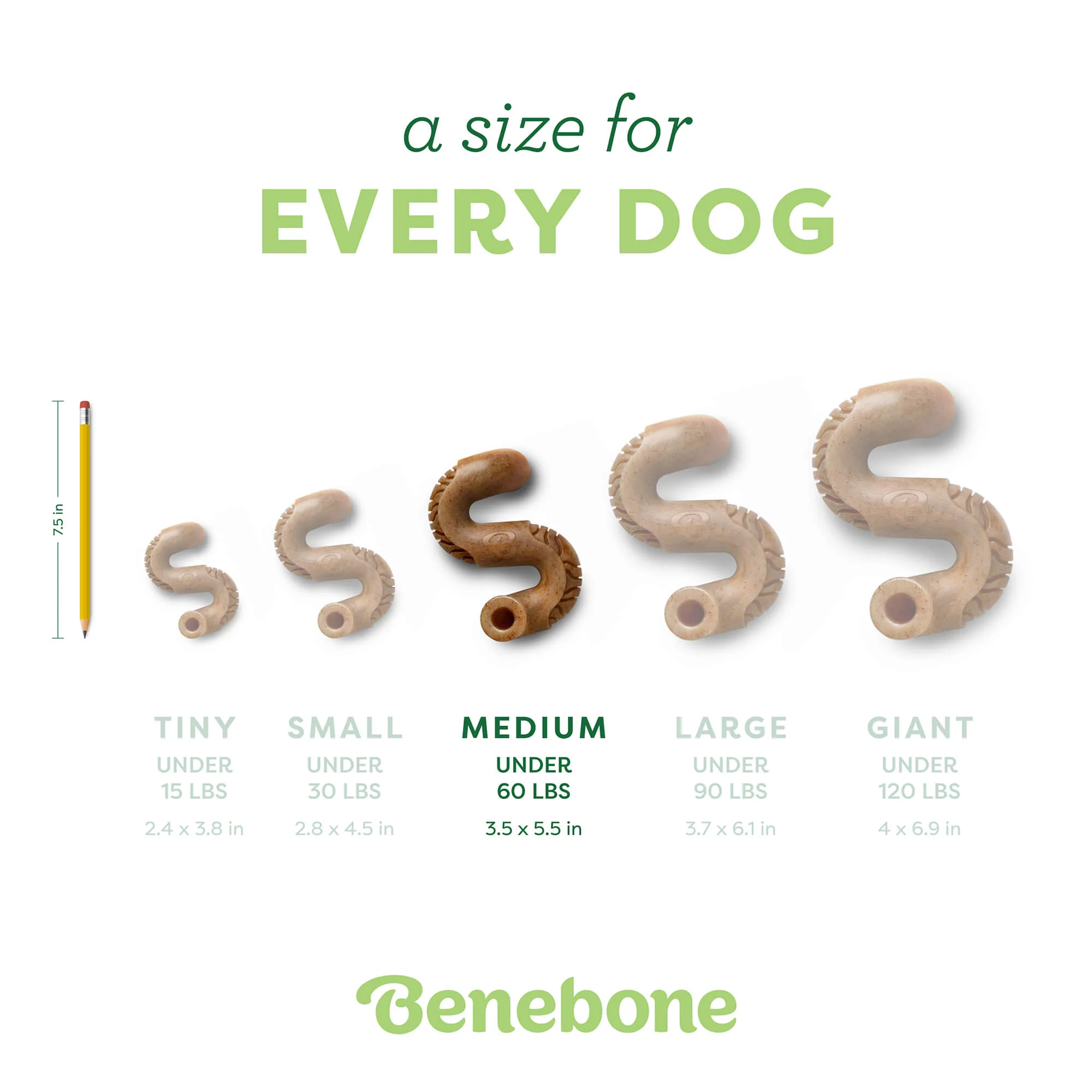 Tripe Bone - Image 15