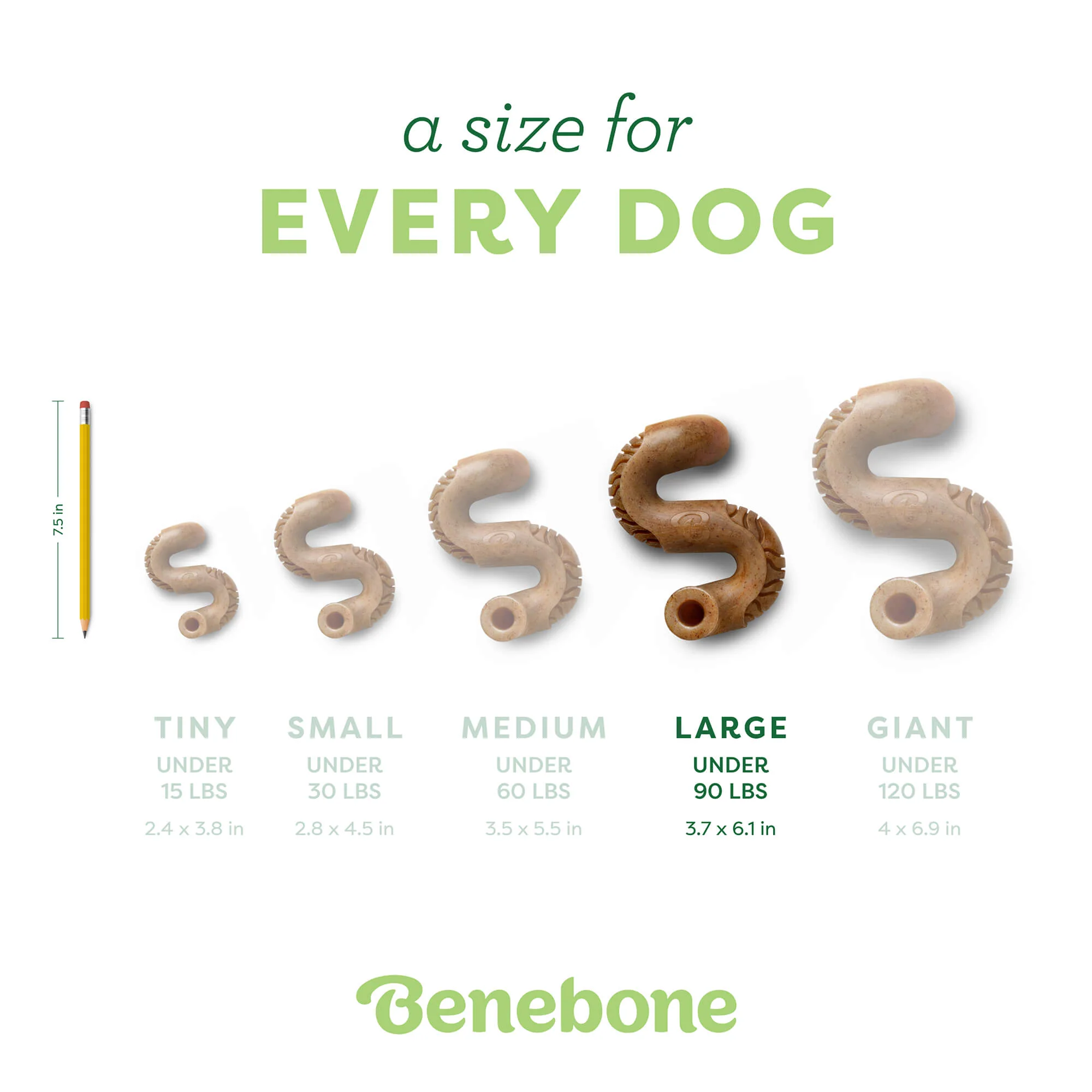 Tripe Bone - Image 18