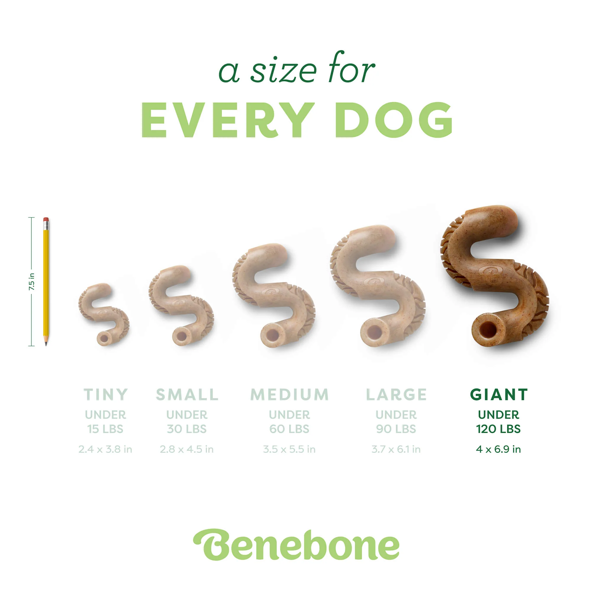 Tripe Bone - Image 21