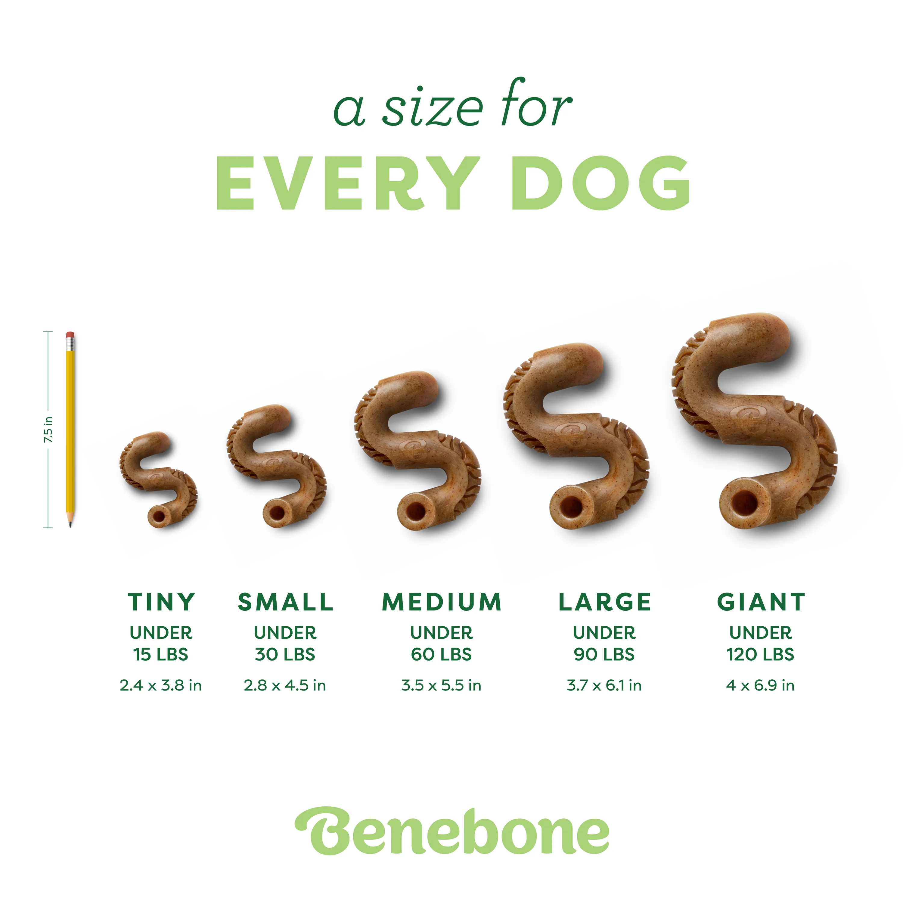 Tripe Bone - Image 3