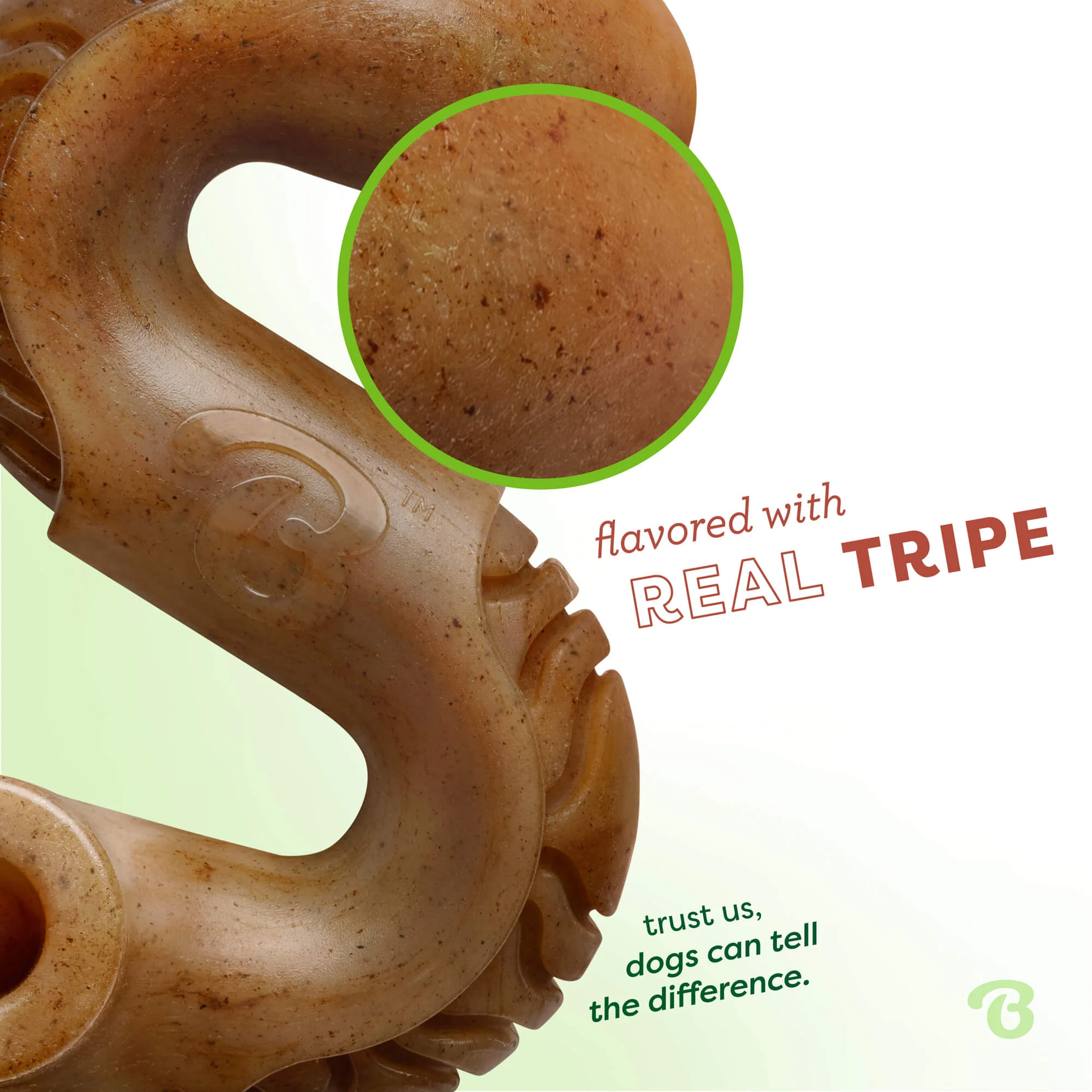 Tripe Bone - Image 4