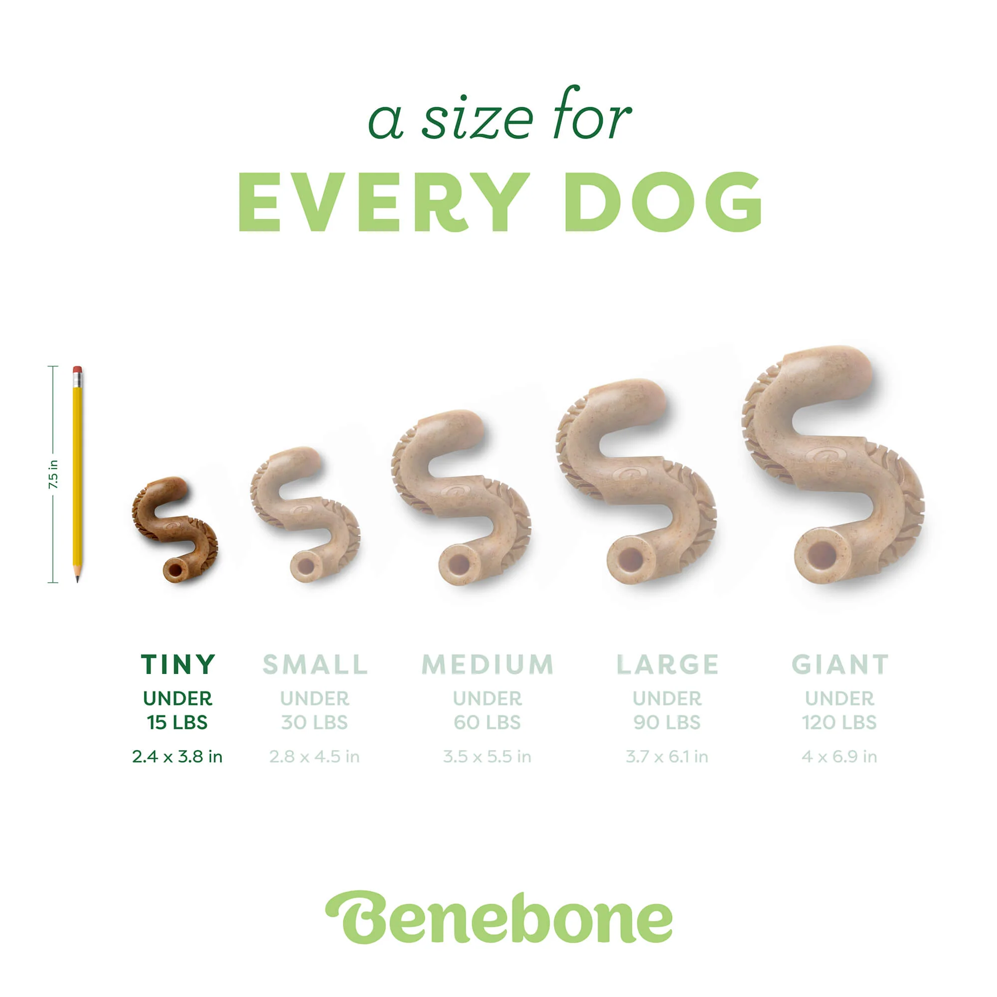 Tripe Bone - Image 9