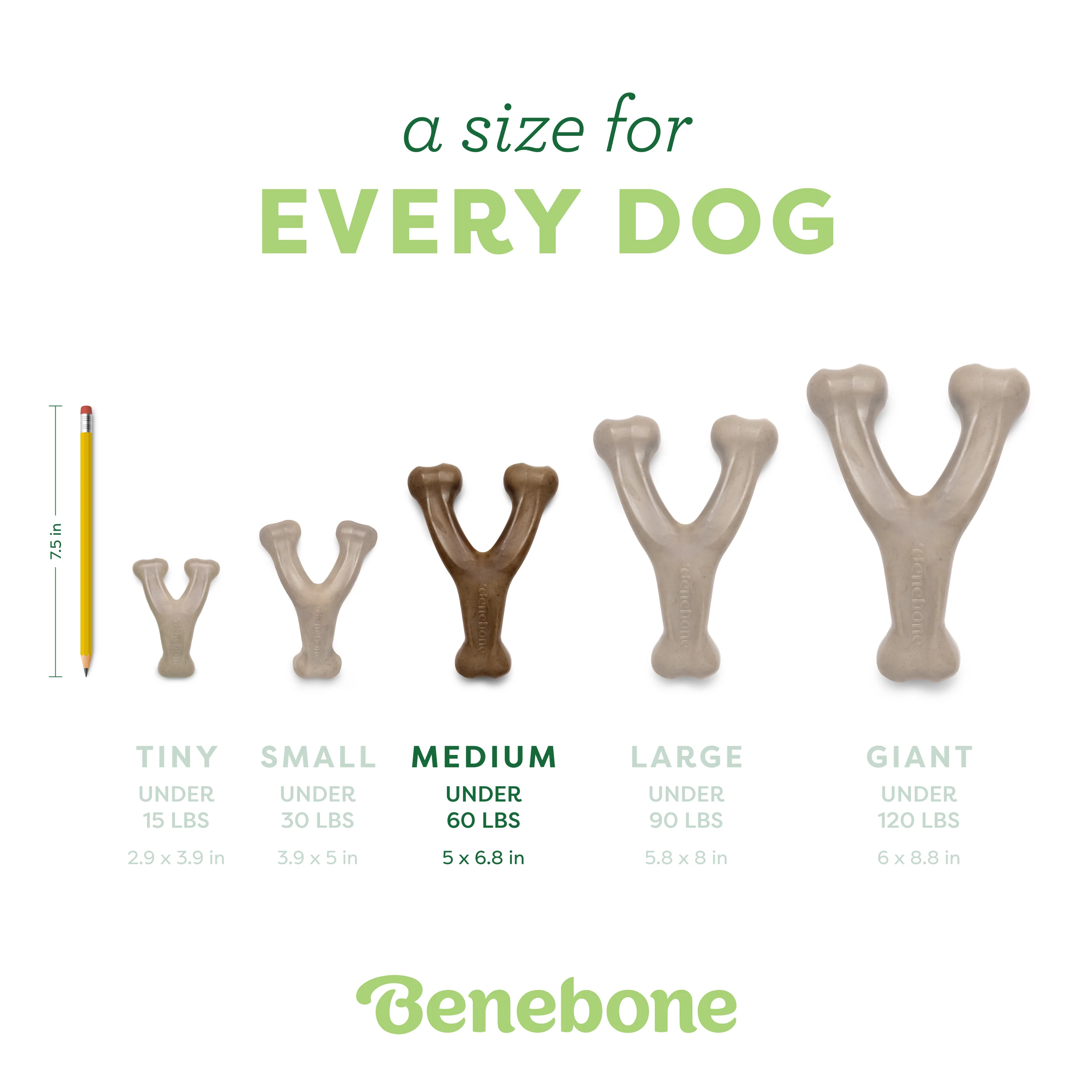 Wishbone - Image 31