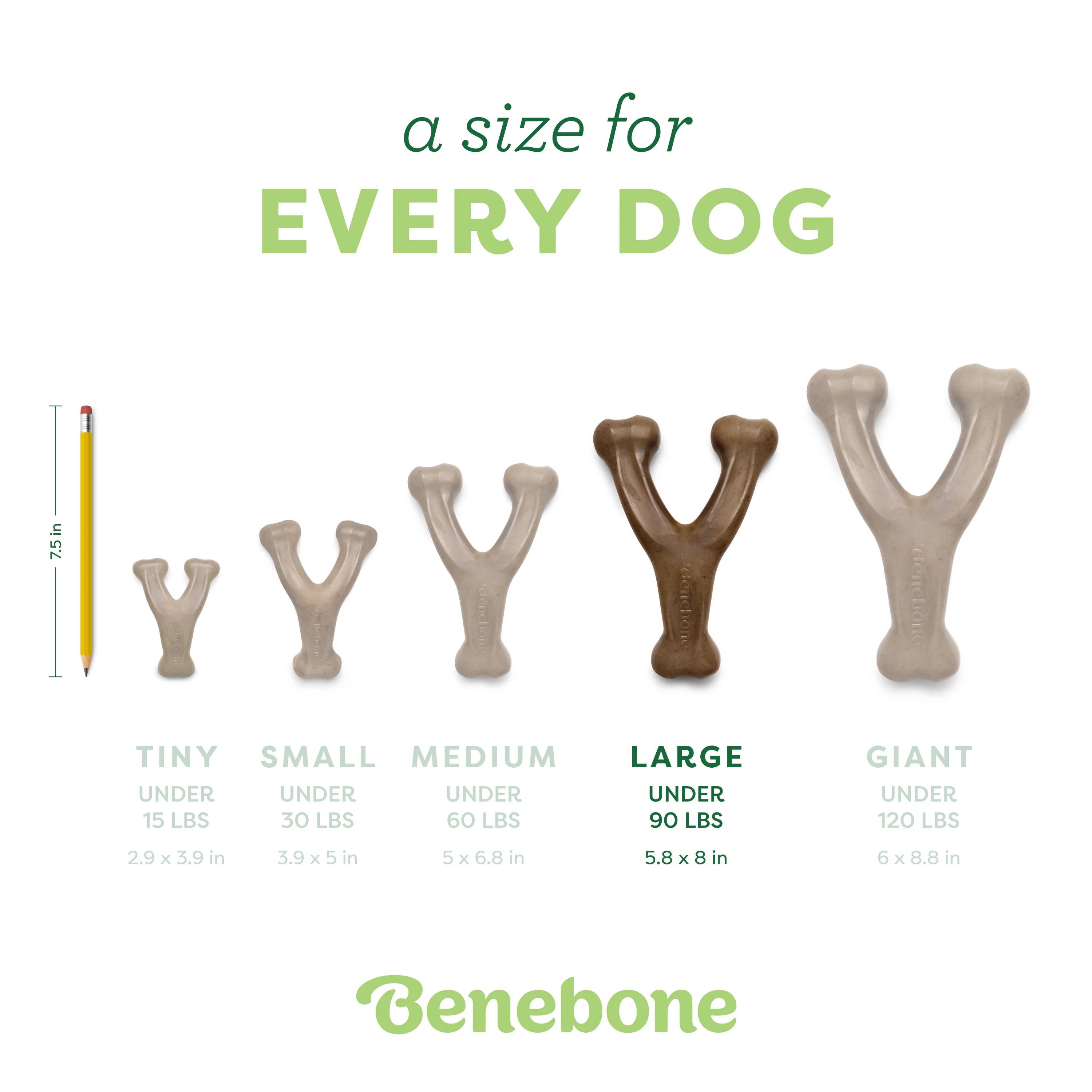Wishbone - Image 46