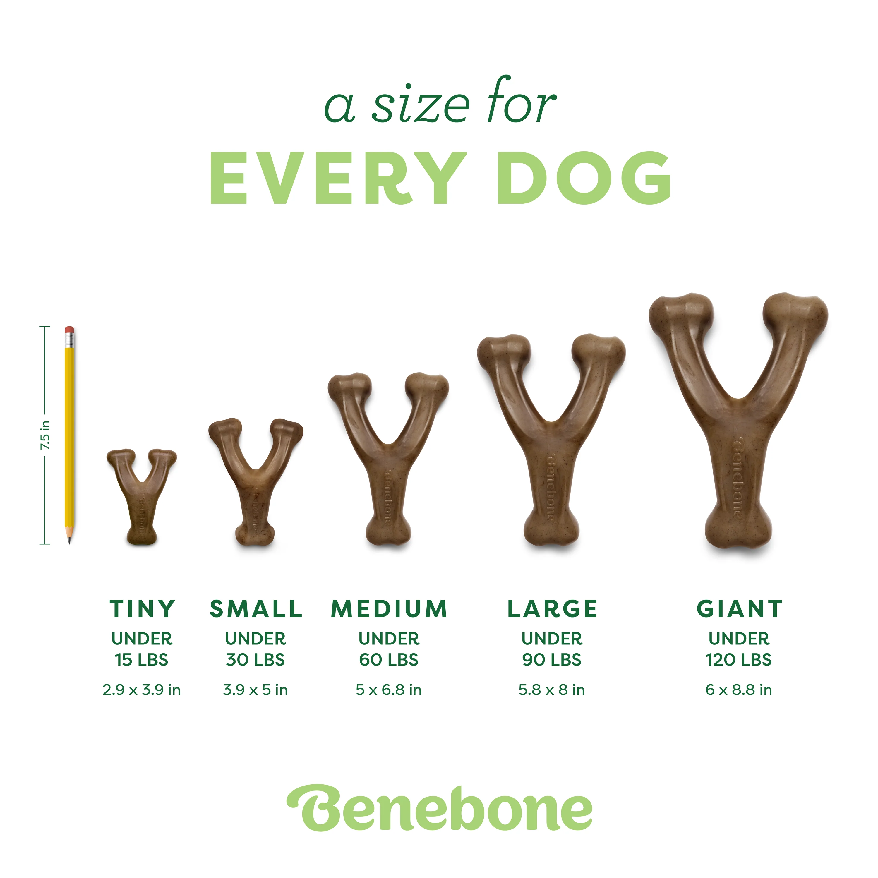 Wishbone - Image 5