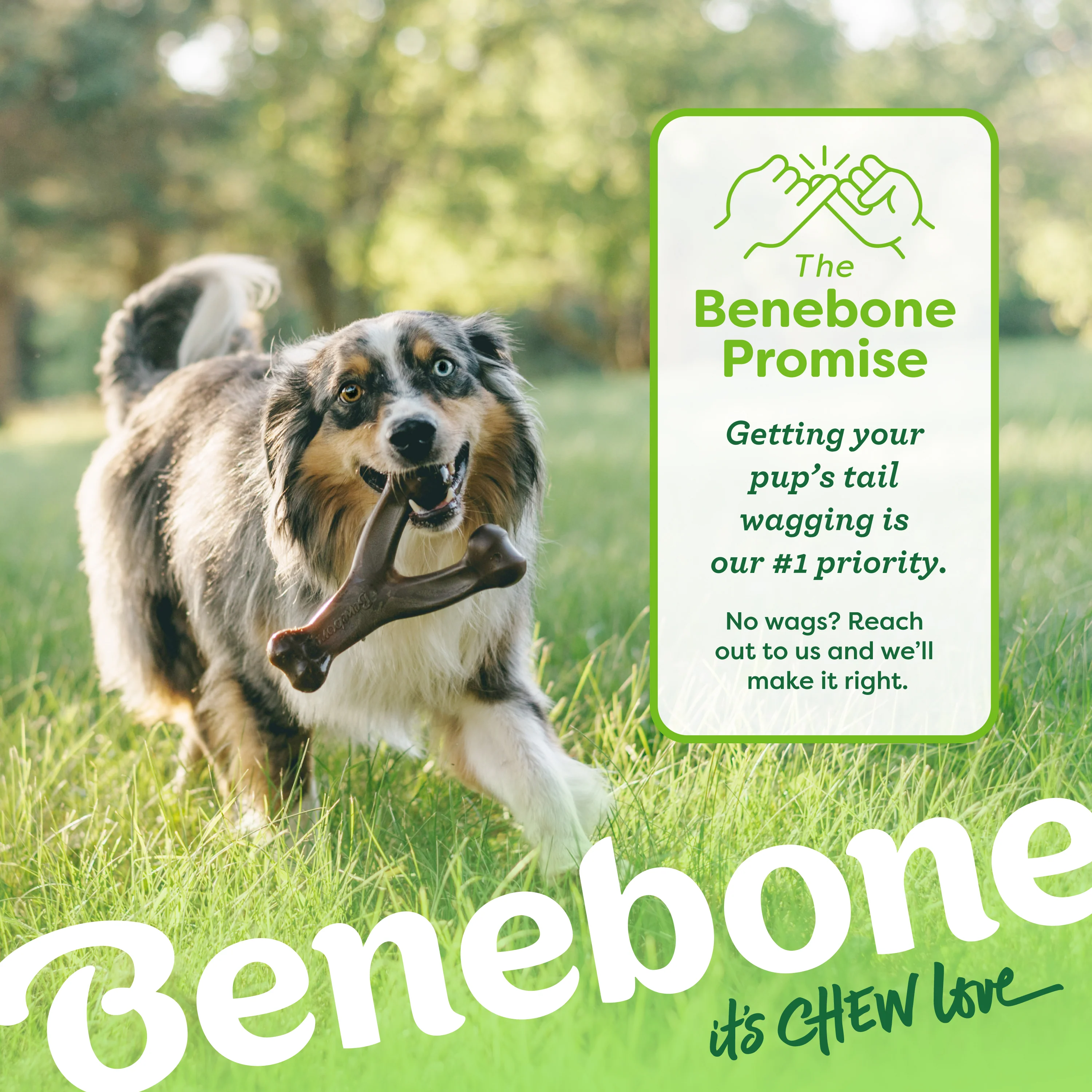Wishbone - Image 6