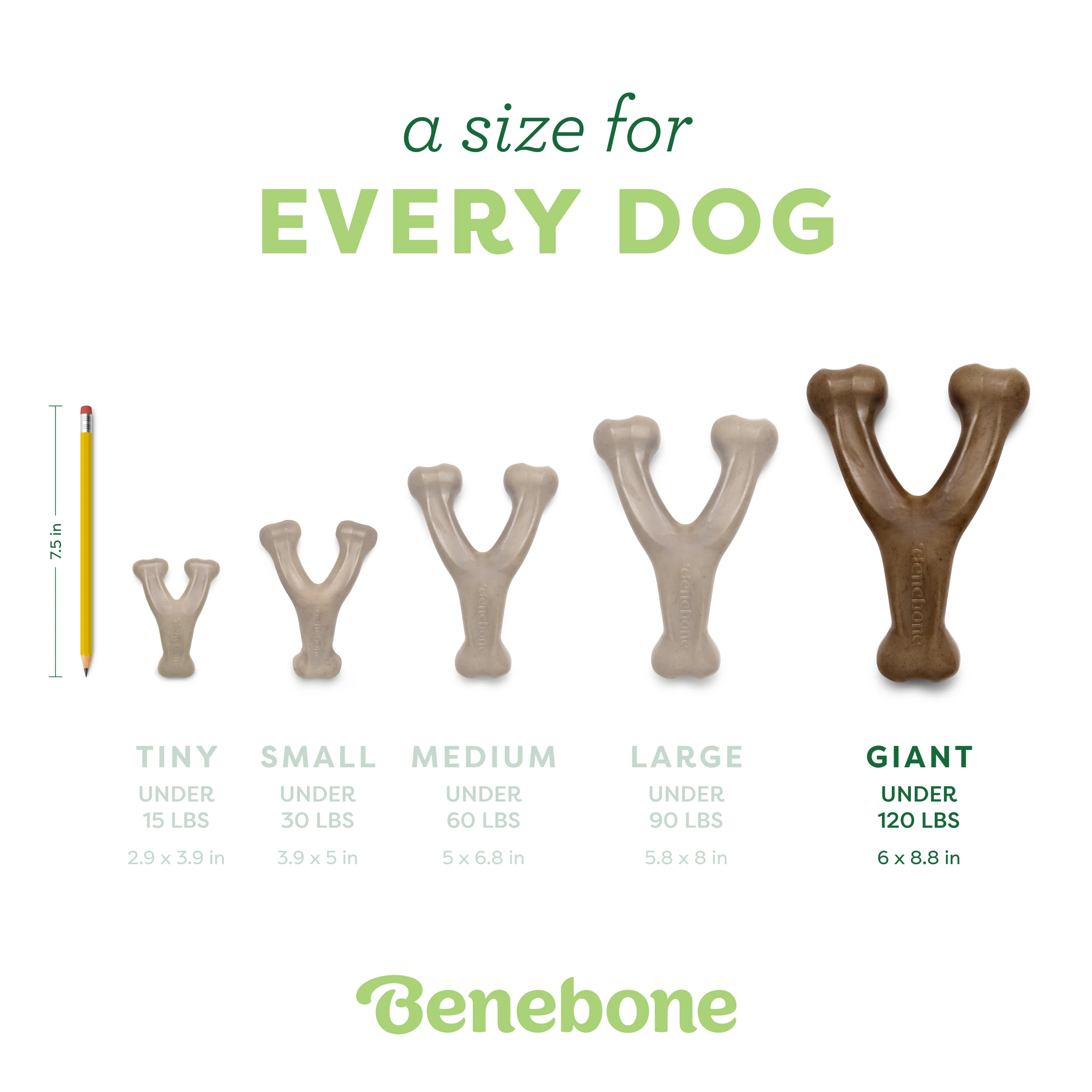 Wishbone - Image 71