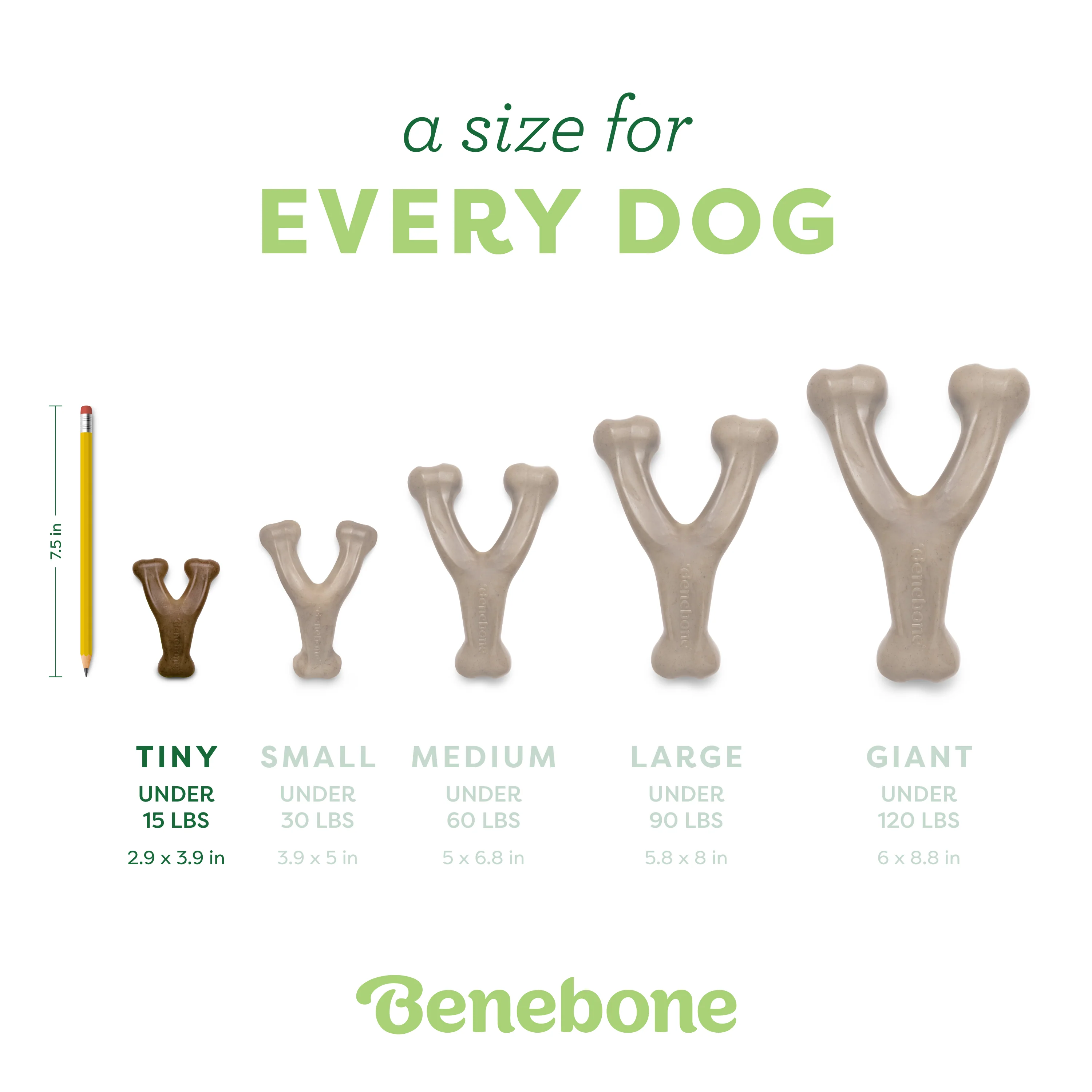 Wishbone - Image 77