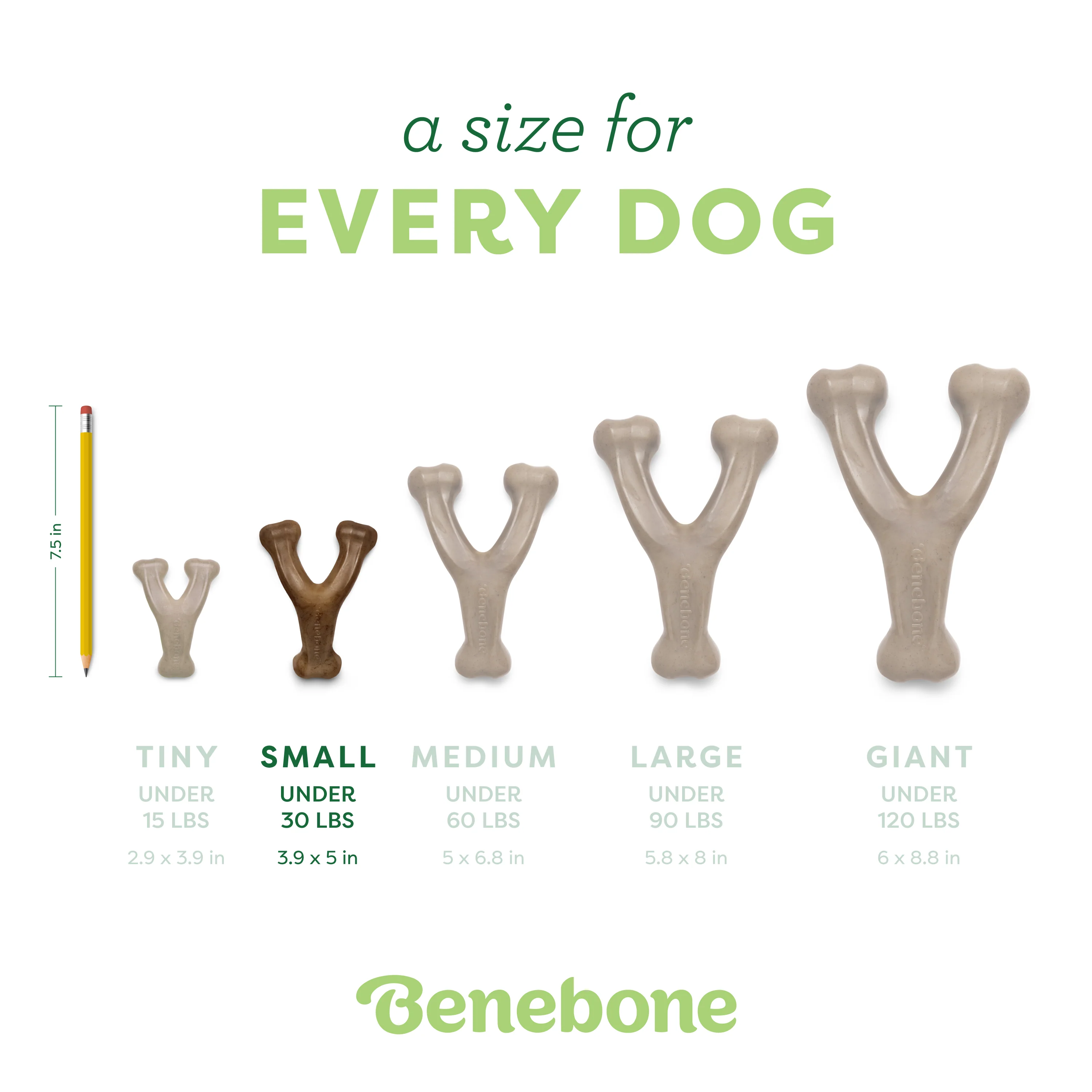 Wishbone Trio (3-Pack) - Image 7